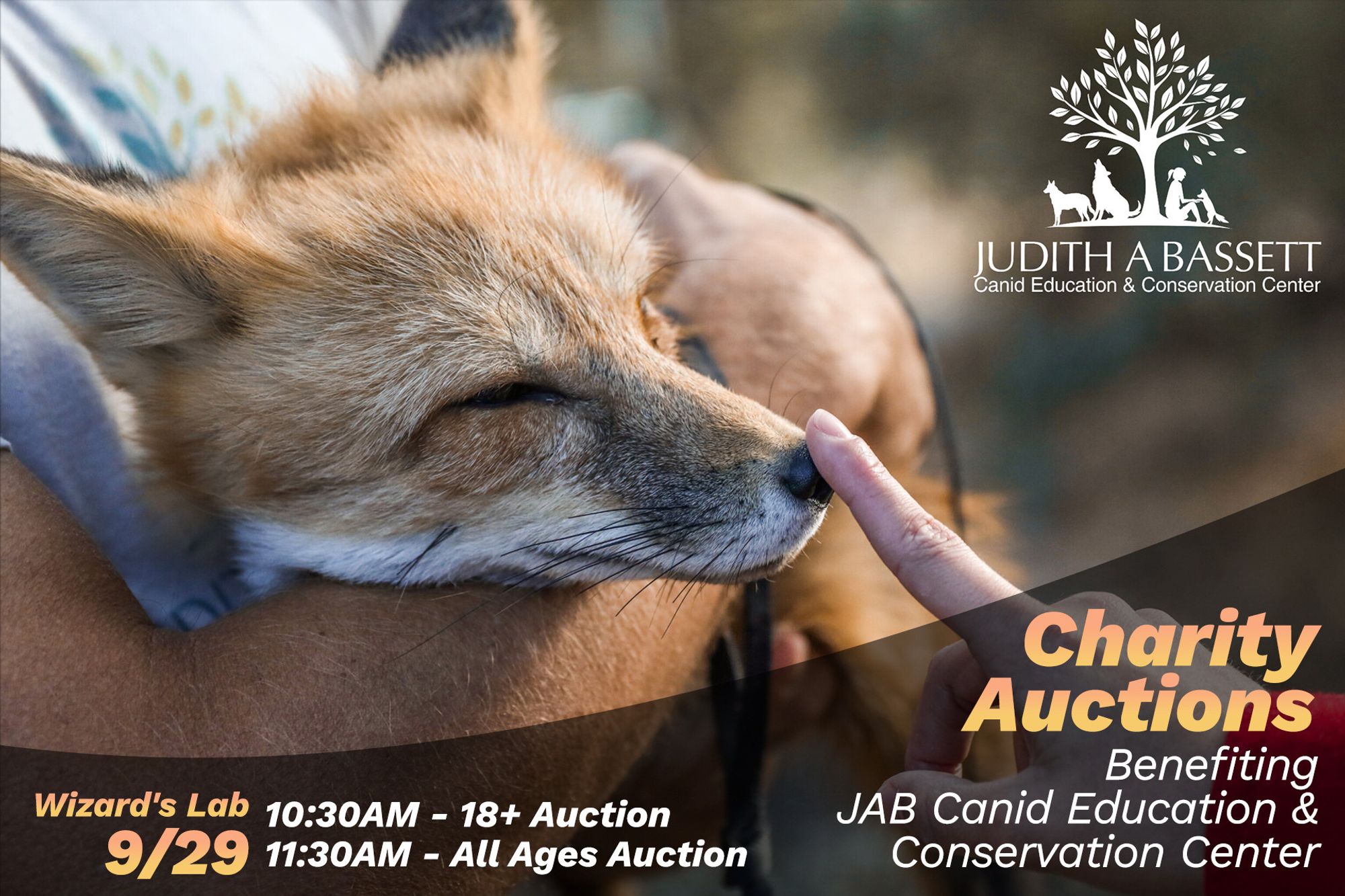 A graphic denoting charity auctions benefiting the JABCECC. The auctions are 9/29: 10:30AM for the 18+ Auction, 11:30AM for the All Ages Auction.