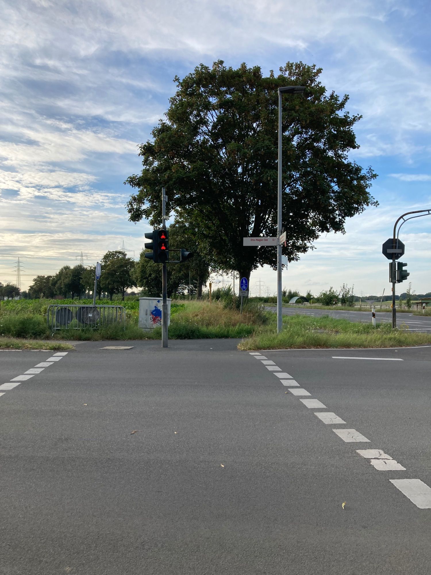 Ampel- auf der anderen Seite ein Baum. Darunter ein Schild mit Otto-Maigler-See