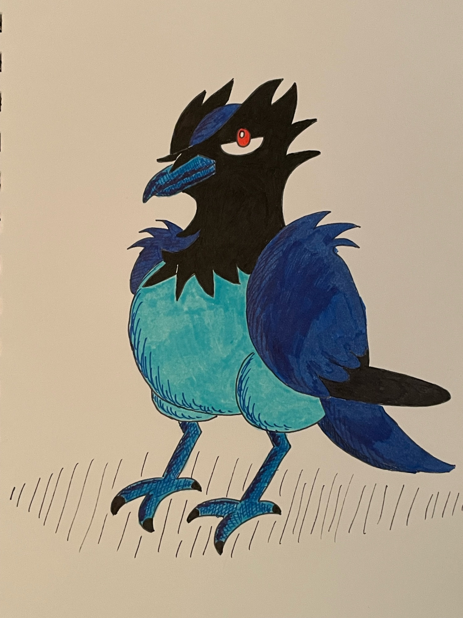 A drawing of the Pokemon Corvisquire, a crow like creature with red eyes, black head feathers, dark blue wings, and a light blue breast.