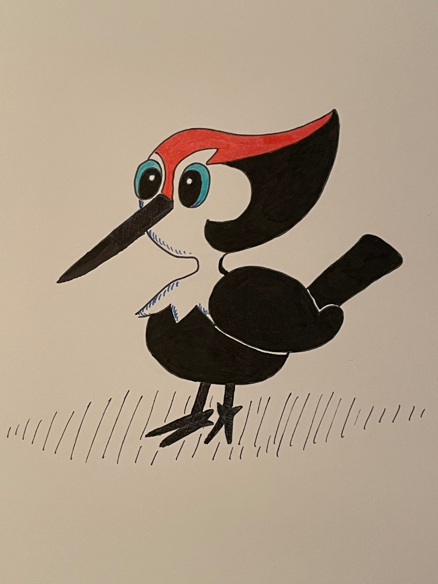 A drawing of the Pokemon Pikipek, a woodpecker-like bird creature with a red head, a white face, a long beak, and a black body.