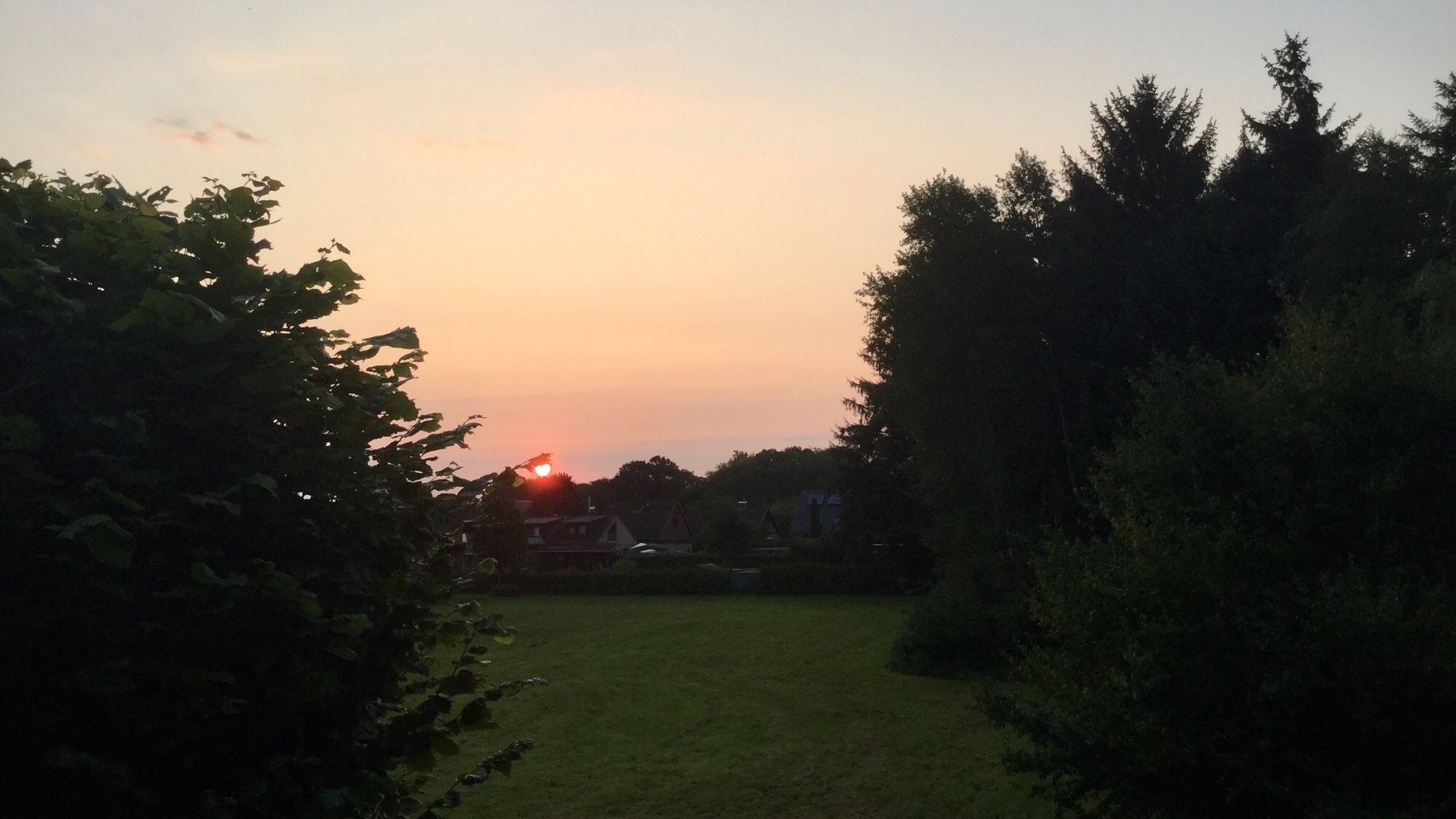 Farbfoto, Querformat: Sonnenaufgang über der dunklen Silhouette von Laubbäumen. Die Sonne ist als kleine rote Kugel am Horizont zu erkennen. Der Himmel schimmert blassrosa.