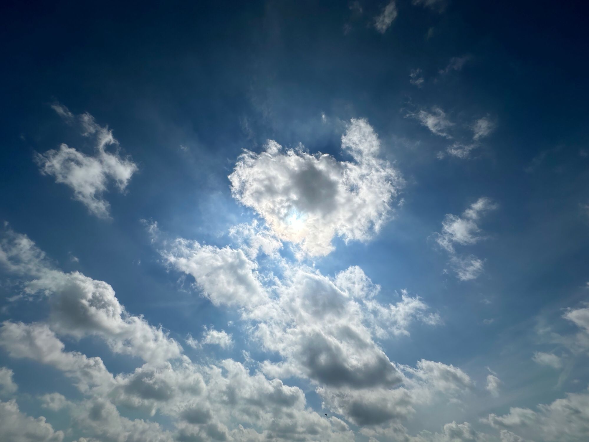 Farbfoto, Querformat, Blick in den Himmel: In der Bildmitte versucht die Sonne, ein dichter werdendes Geflecht aus Wolkenschleiern und Quellwolken zu durchdringen.