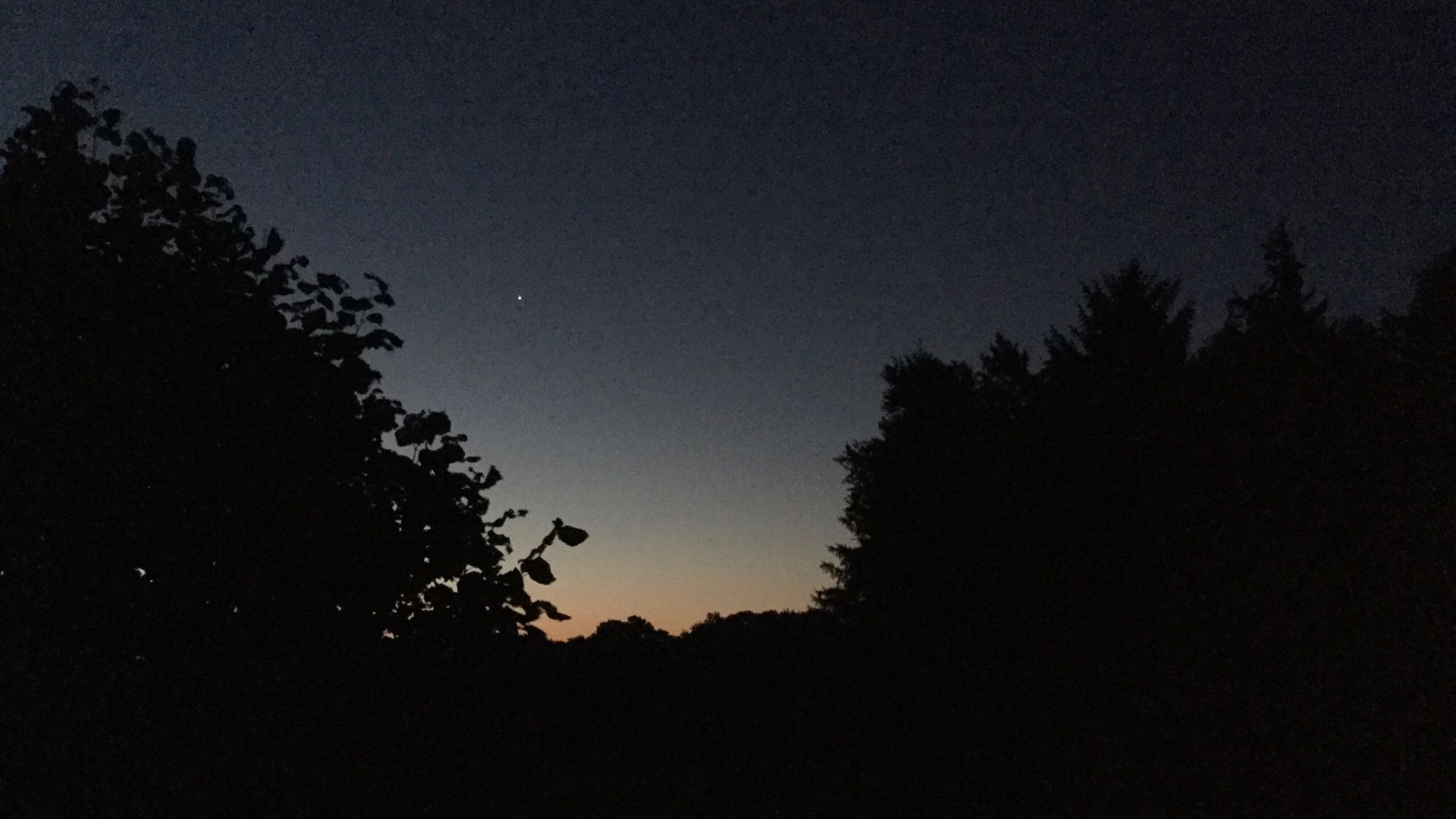 Farbfoto, Querformat: Schwarze Silhouetten von Laubbäumen vorm ersten Licht des Tages. Ein orangefarbener Schimmer breitet sich am Horizont aus. Ein letzter Stern leuchtet am dunklen Himmel.