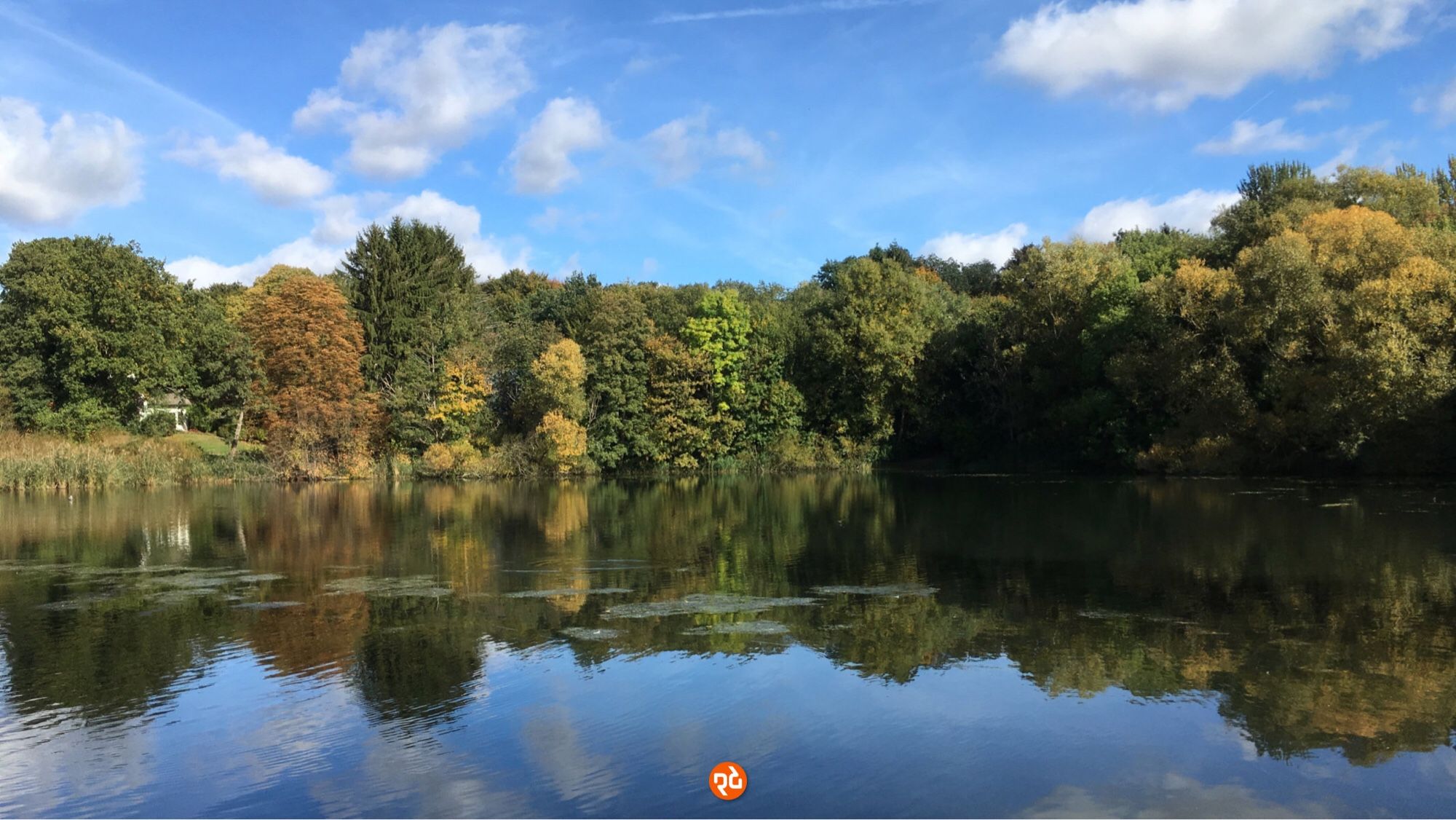 Spaziergang am Mühlensee bei Trittau. Der herbstliche Wald spiegelt sich in der glatten Wasserfläche. Darüber ein blauer Himmel mit vereinzelten Wolken.