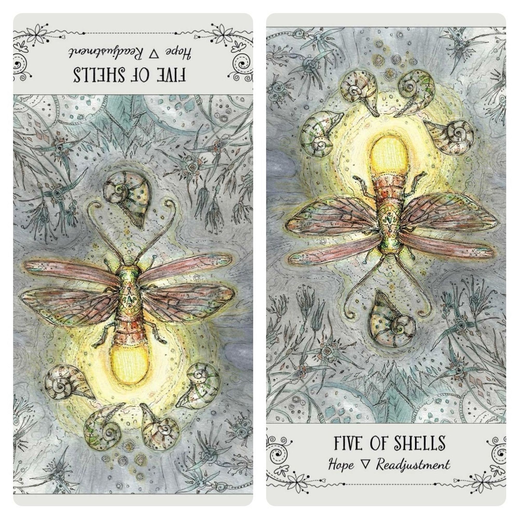 A lit-up firefly encircled by 5 seashells and foliage. The words Hope and Readjustment appear below the card name, 5 of Shells.  (Image on the left is a reversal of the image on the right).