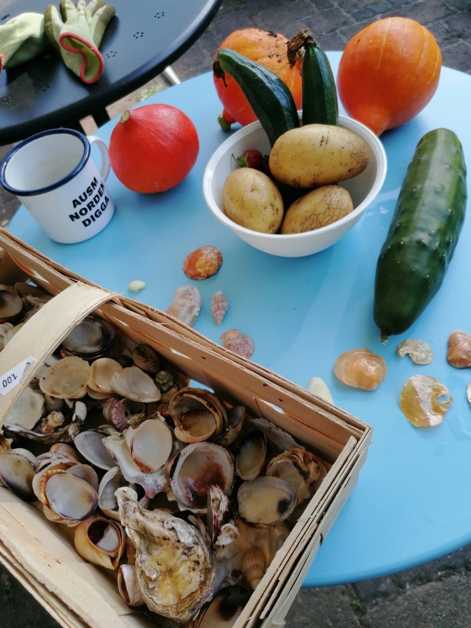 Ein Bastkorb voll von Muscheln, eine Gurke, drei Kartoffeln u d Erdbeeren daneben