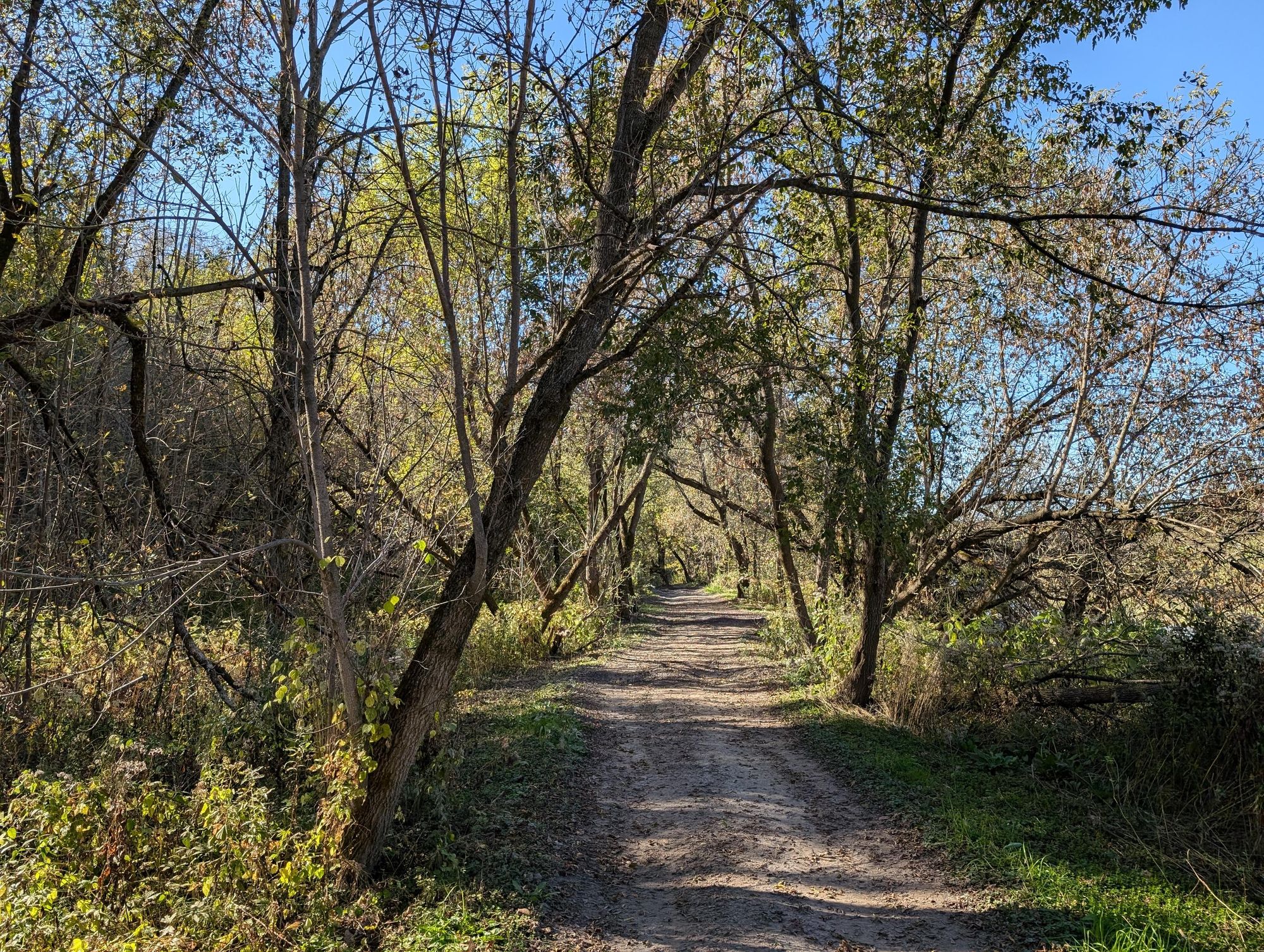 Gravel trail winding through a mid-fall forest under a clear blue sky. Not seen: the tranquil river alongside the trail to the right.