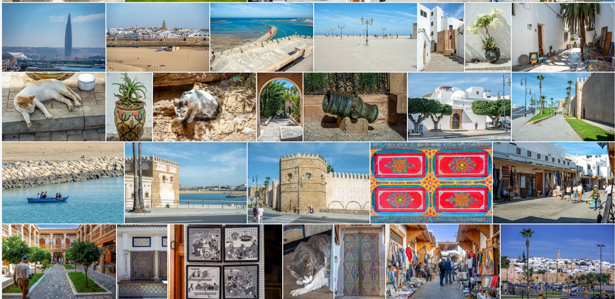 Collage of images from Rabat, with seashore, the Casbah, cats, art, and more; mostly desert brown and sea azure hues.