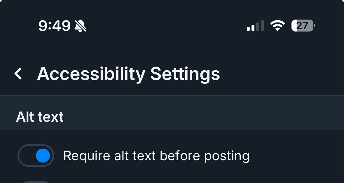 Bluesky accessibility setting “Require alt text before posting”. The setting is active. 