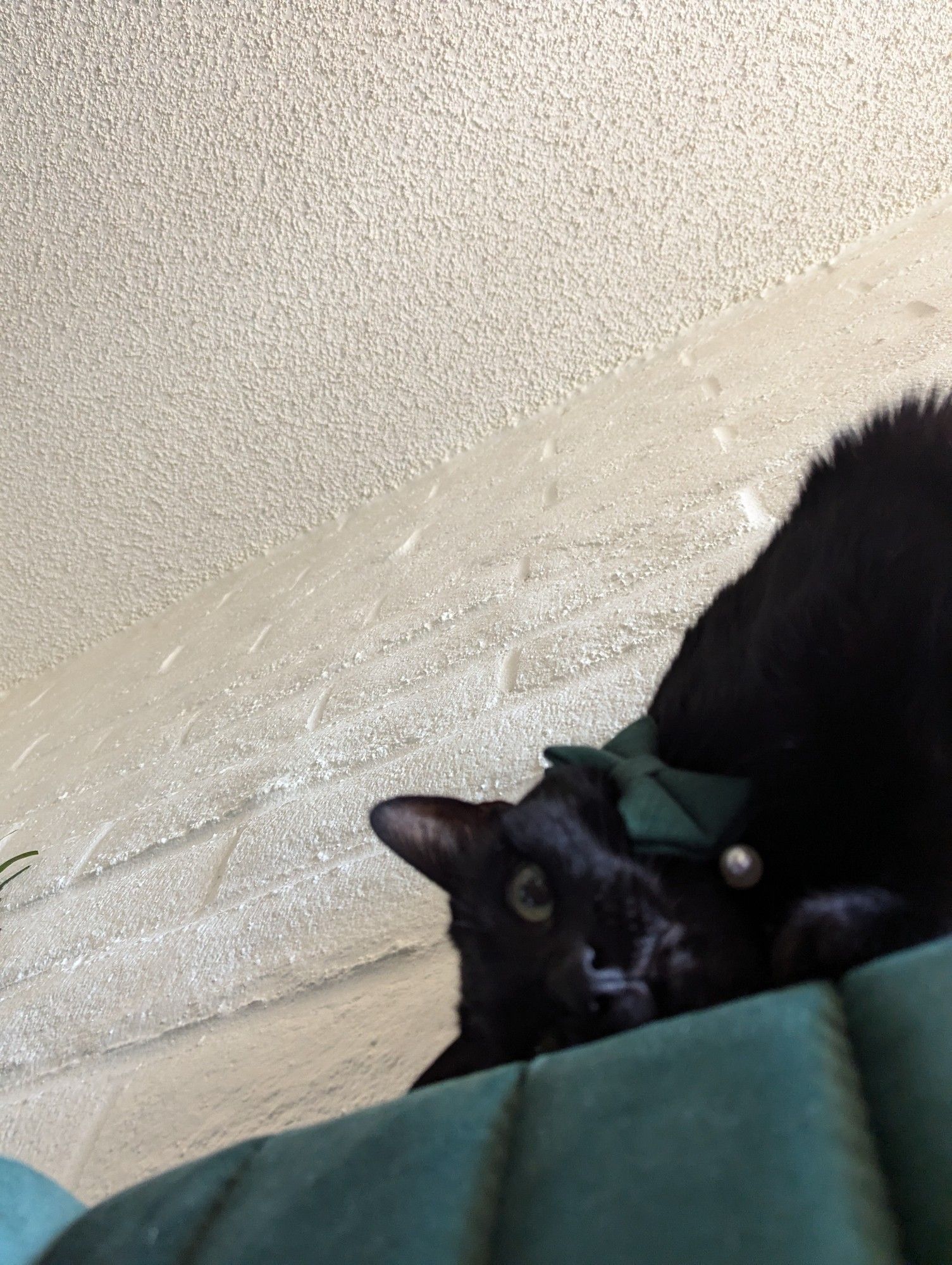 Hex on top of the headboard of our bed. He is peeking down at me