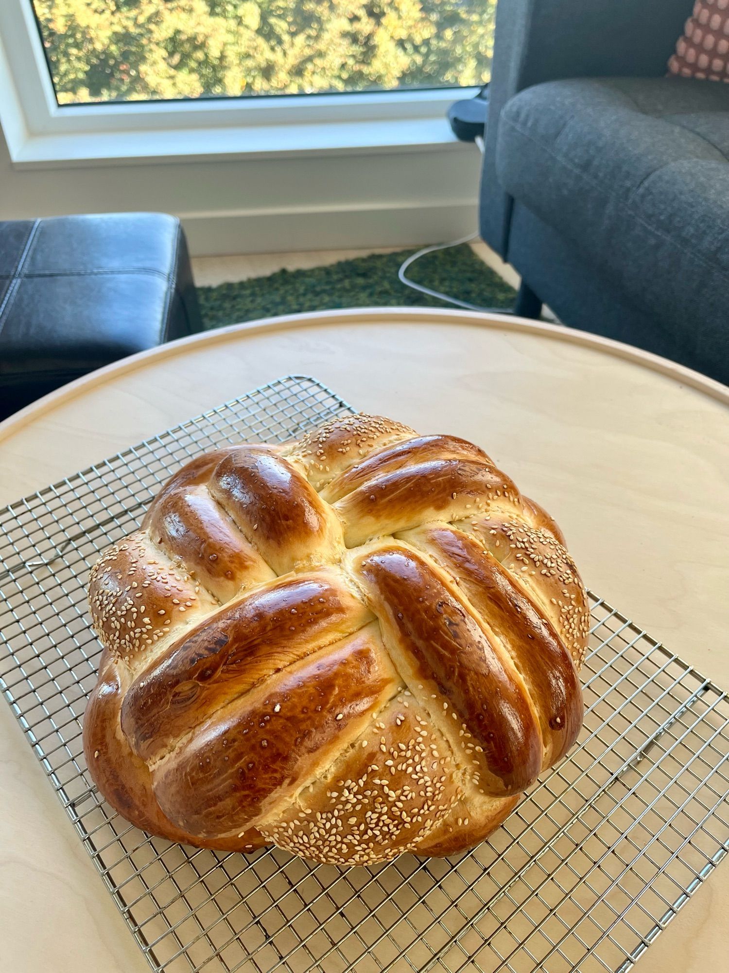 A large 8-strand round challah with sesame seeds