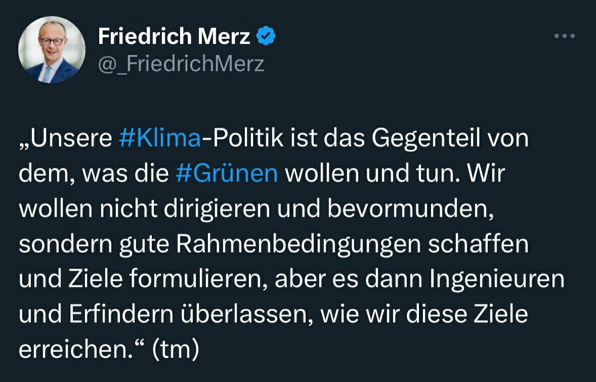 Tweet von Merz gegen die Grünen.