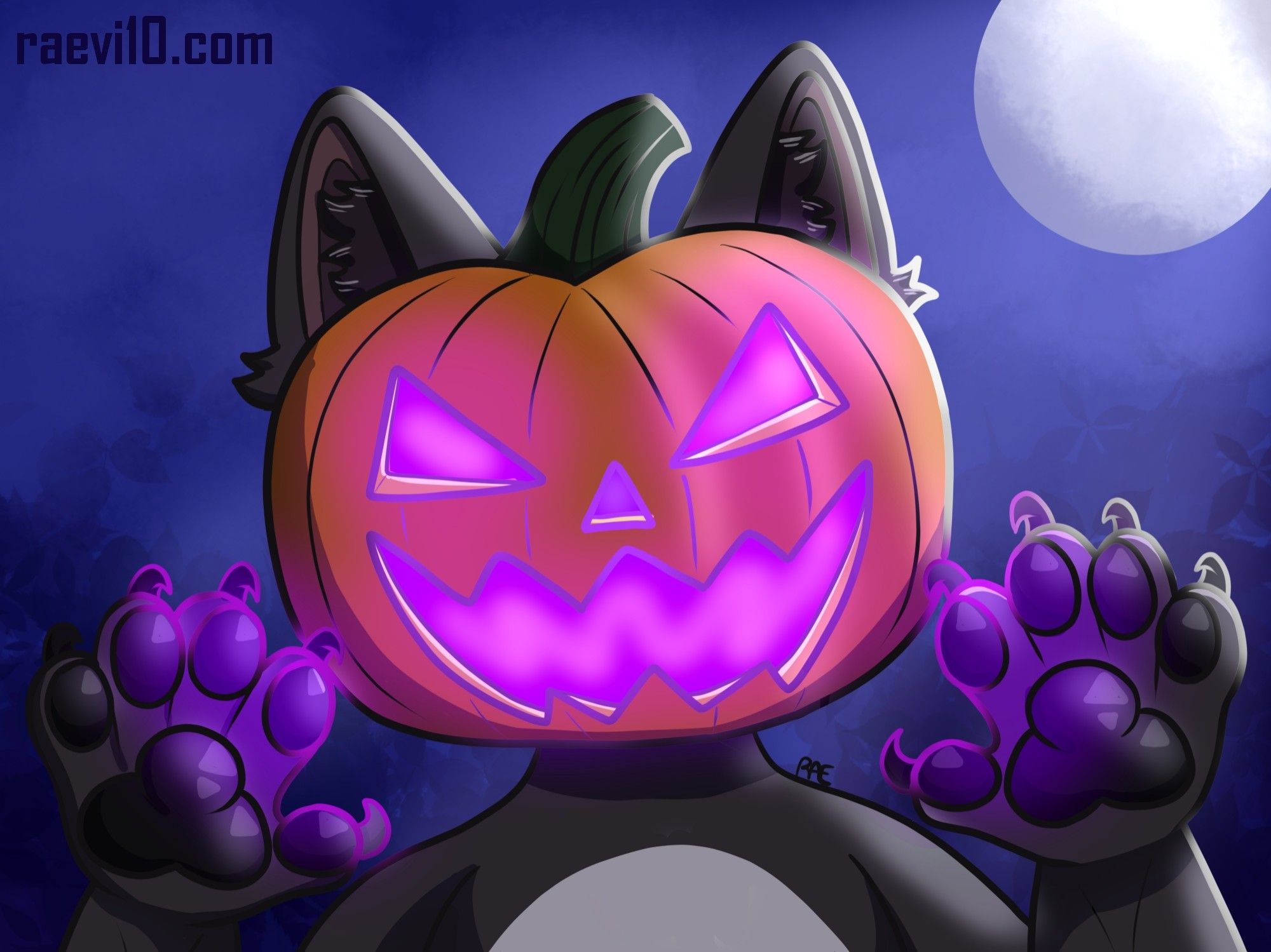 a dark brown and through K9 with a white belly holding up his paws with a pumpkin on his head That's carved and glowing a bright purple