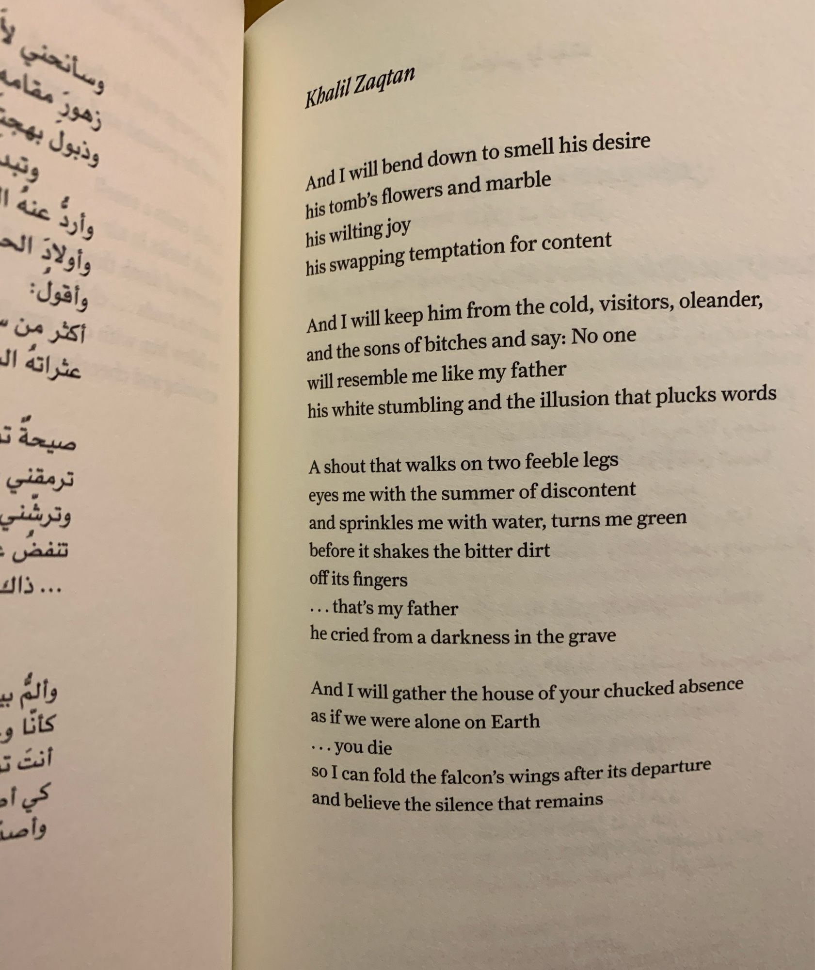 Khalil Zaqtan
And I will bend down to smell his desire his tomb's flowers and marble his wilting joy
his swapping temptation for content
And I will keep him from the cold, visitors, oleander, and the sons of bitches and say: No one will resemble me like my father
his white stumbling and the illusion that plucks words
A shout that walks on two feeble legs eyes me with the summer of discontent and sprinkles me with water, turns me green before it shakes the bitter dirt off its fingers ... that's my father
he cried from a darkness in the grave
And I will gather the house of your chucked absence as if we were alone on Earth
•.. you die
so I can fold the falcon's wings after its departure and believe the silence that remains