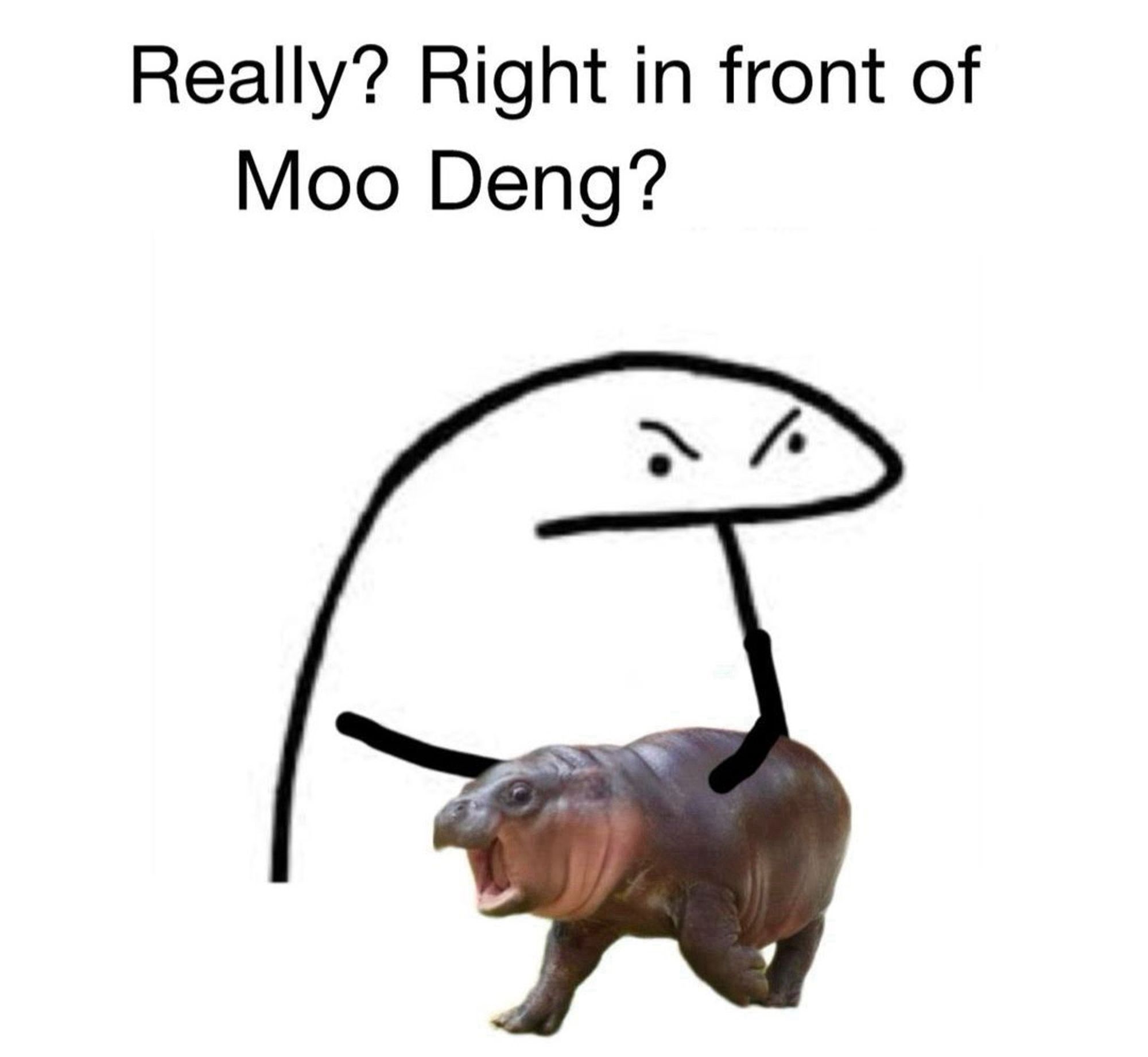 A meme. An angry amorphous doodled blob holds a detailed depiction of Moo Deng, the famous baby pygmy hippo, with her mouth open wide as though to scream, eyes also wild. The blob says “really? Right in front of Moo Deng?”