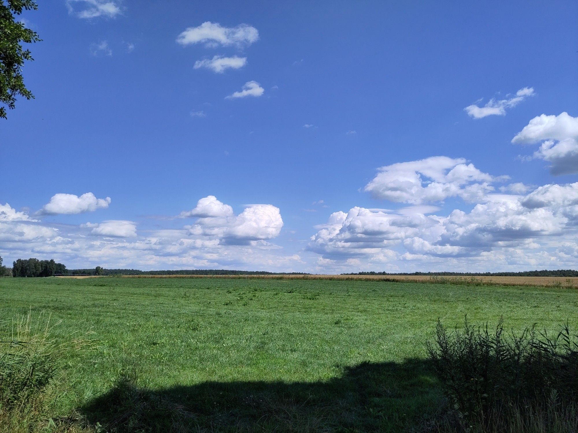 Himmel, der fast aussieht wie ein häufiger Wondows-XP-Hintergrund: grüne Wiese, paar weiße Wolken