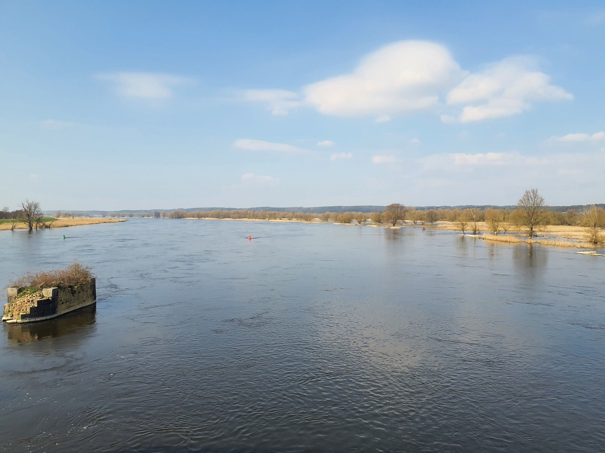 Flusslauf der oder mit überfluteten Auen im März.