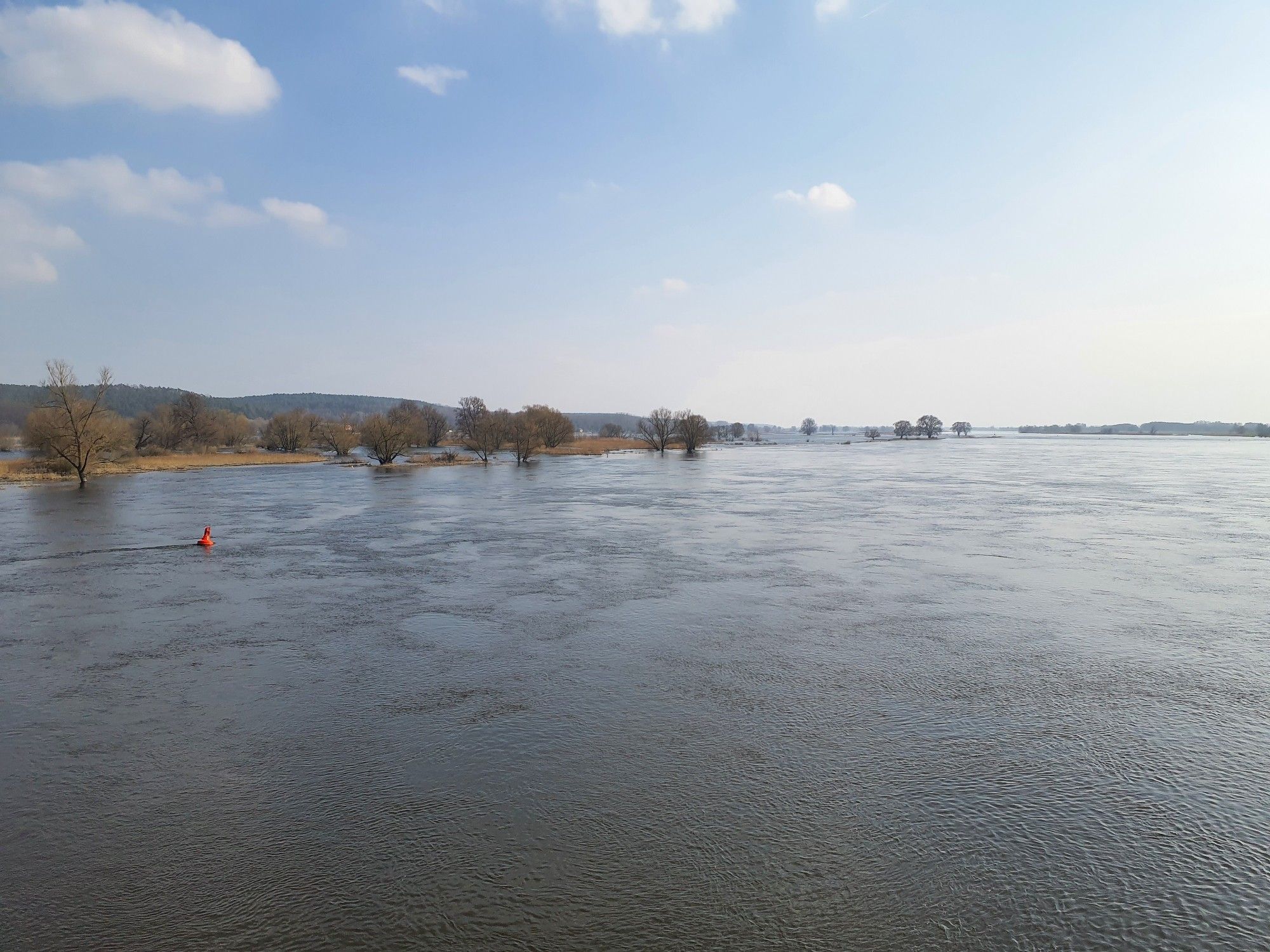 Flusslauf der oder mit überfluteten Auen im März.