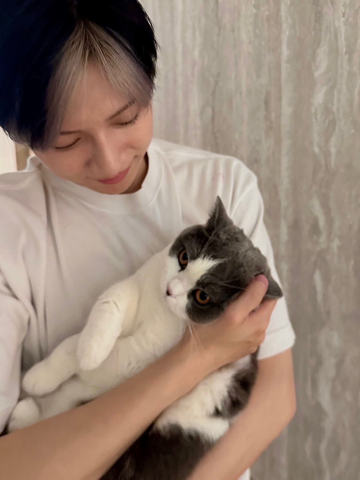 SHINee Taemin holding his plushy gray-and-white cat, Kkoong