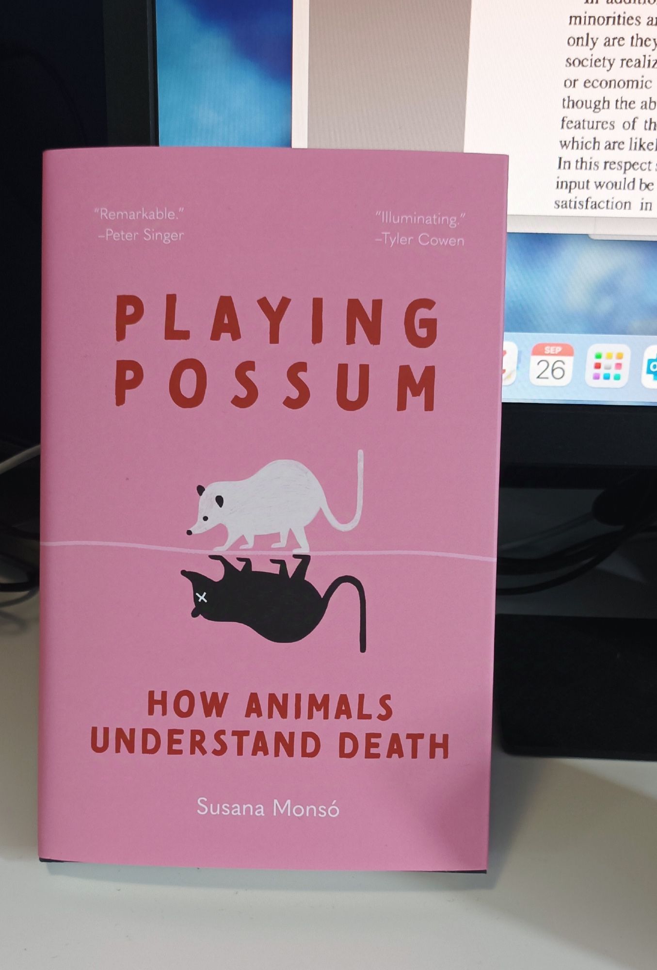 A picture of a book propped-up against a computer monitor. The book has a pink cover with a painted image of a cure white possum walking along the ground. The ground is symbolised by a slightly irregular white line running left to right across the middle of the cover. Mirrored below the white possum is a black image with a white cross where its eye should be, symbolising death. The title reads: 'Playing Possum: How Animals Understand Death' by Susana Monsó. Quotes from Peter Singer and Tyler Cowen read "Remarkable" and "Illuminating" respectively.