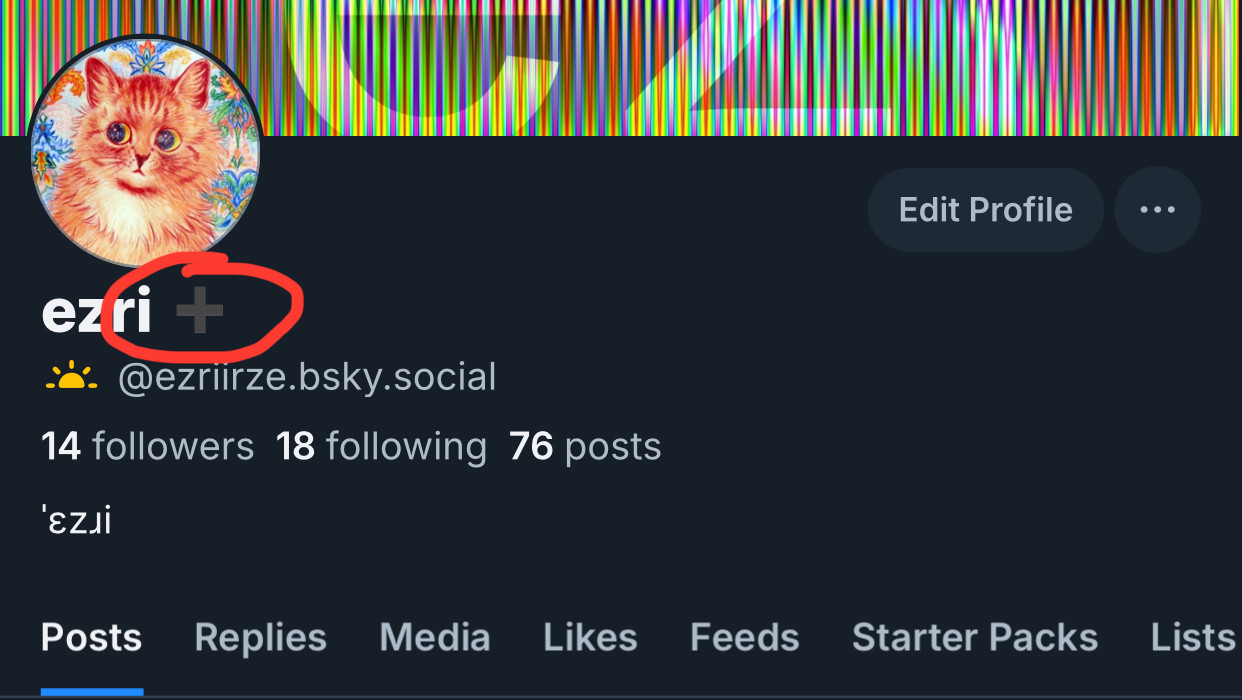 screenshot of my (@ezriirze) profile. Circled is the plus after my display named