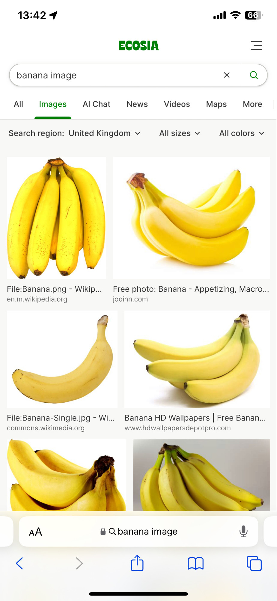 uncropped screenshot of phone showing the images tab after searching up on ecosia “banana image”. It’s all bananas