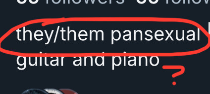 above user’s bio. Circled are the words “they/them pansexual”, with a question mark beneath.