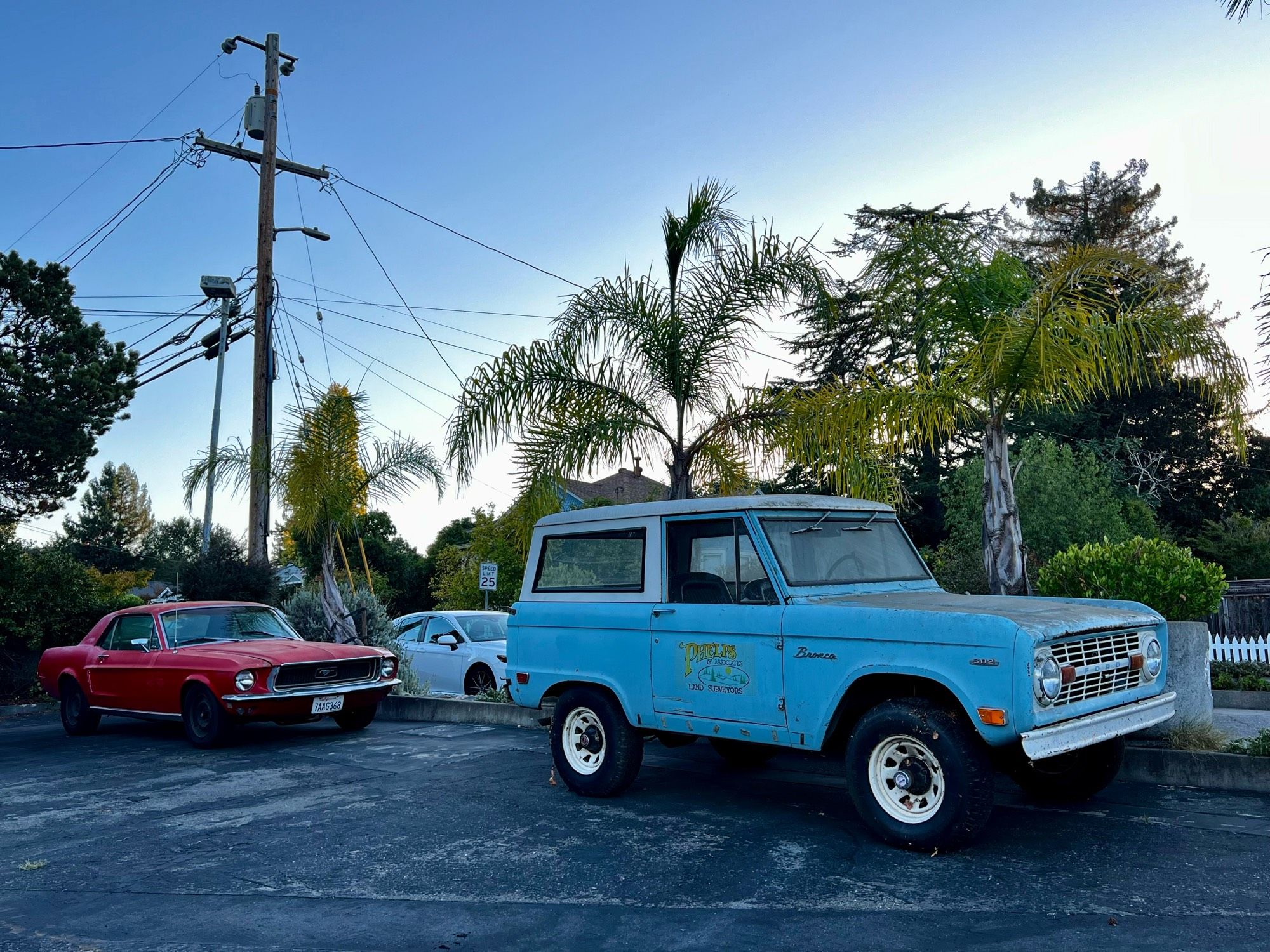 Vintage Ford Bronco and Mustang.