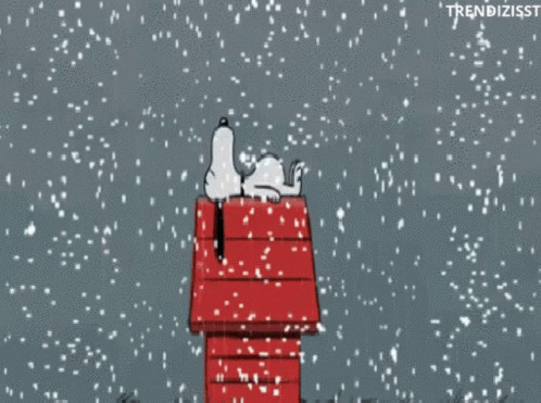 Snoopy dort sur le toit de sa niche rouge, il neige.