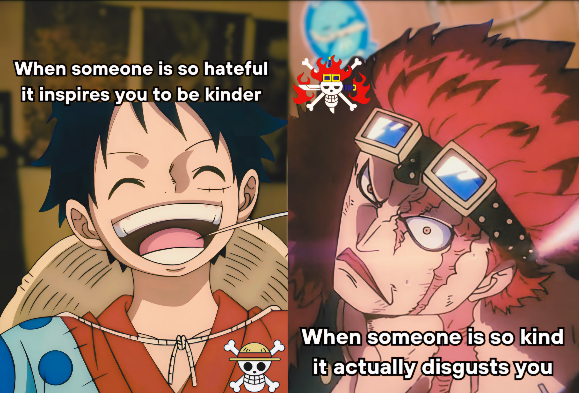 Meme with side by side photos of luffy and eustass kid.

One left, luffy appears happy with text reading: when someone is so hateful it inspires you to be kinder.

On the right, eustass kid appears agitated with text reading: when someone is so kind it actually disgusts you