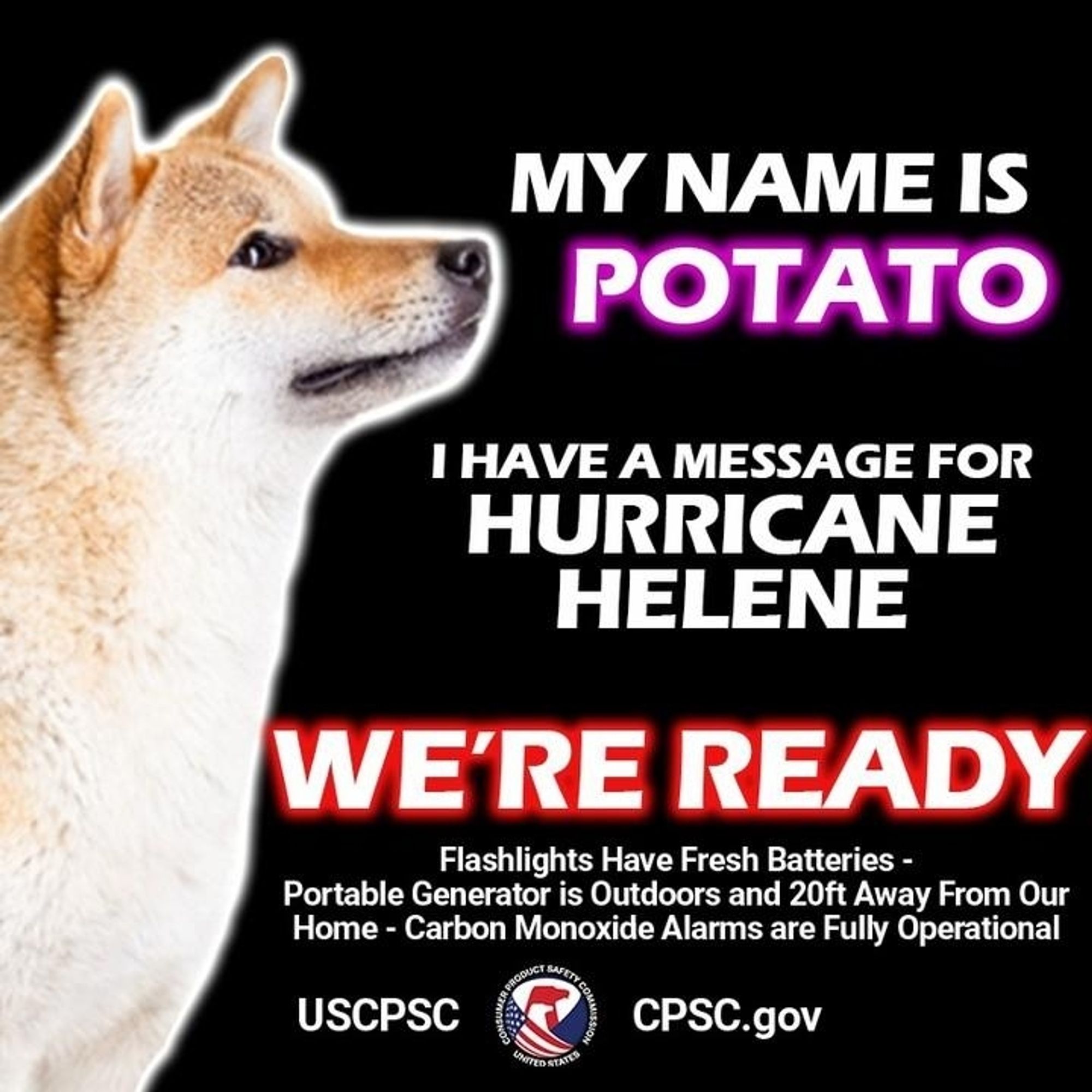 A dog named potato. The text reads: my name is potato. I have a message for hurricane Helene. We're ready. Flashlights have fresh batteries. Portable generator is outdoors and at least 20 feet away from our home. Carbon monoxide alarms are fully operational.