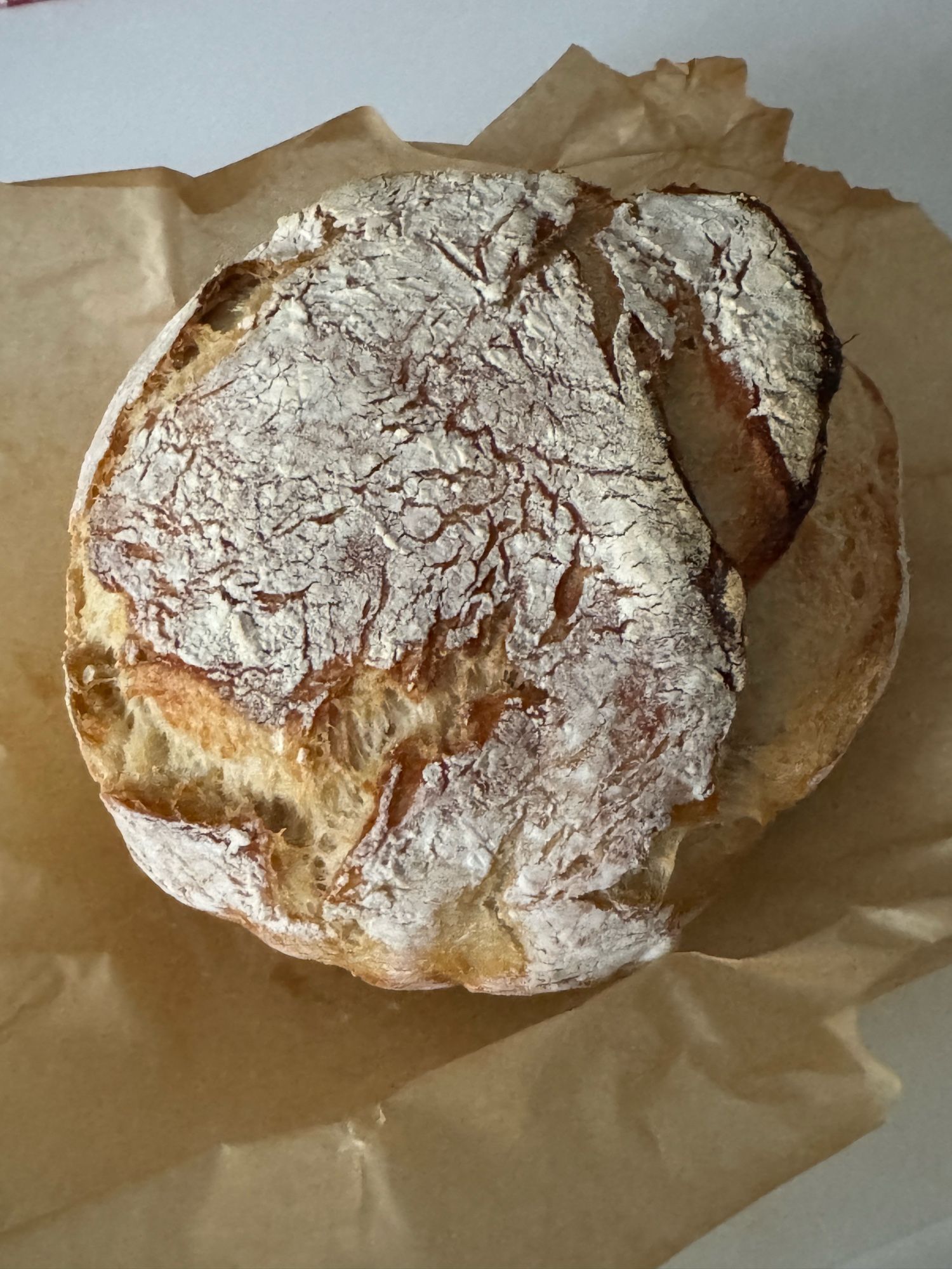 A small (maybe 6" across), circular loaf of home baked bread. The top is dusted with flour and the crust is torn from expansion.