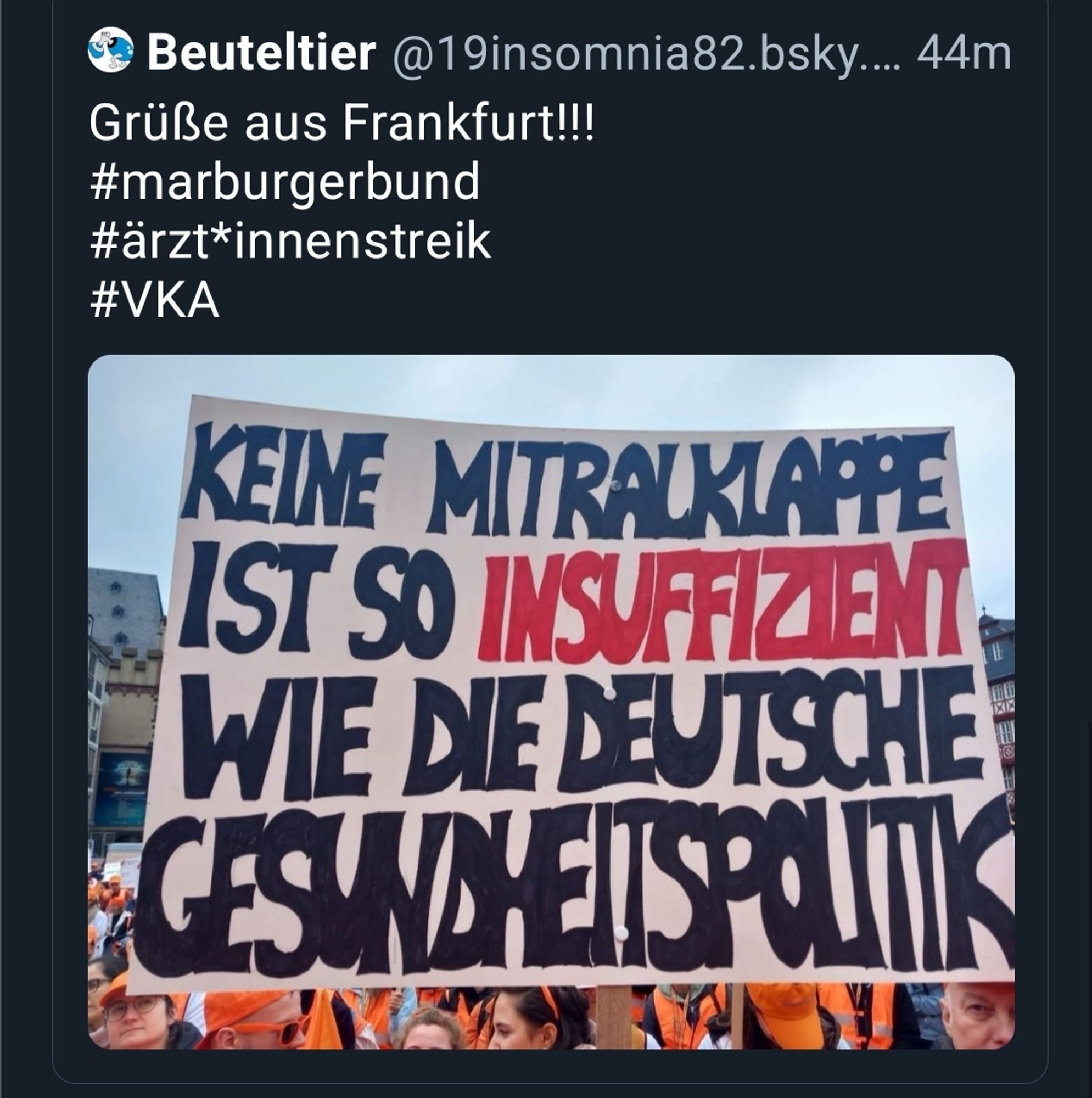 screenshot vom zitierten post von @19insomnia82.bsky.social (beuteltier):  "Grüße aus Frankfurt! #marburgerbund #ärzt*innenstreik #VKA". dazu das foto wie im ausgangspost beschrieben mit den streikenden ärzten*innen und dem transparent.