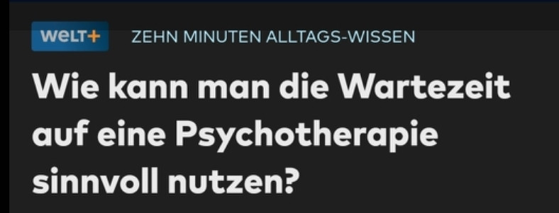 screenshot headline welt plus: "Wie kann man die Wartezeit auf eine Psychotherapie sinnvoll nutzen?"