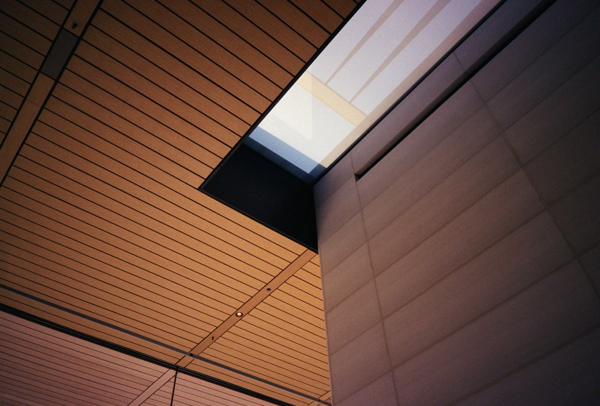 A photo looking up towards part of the ceiling of the Apple Visitor Center. There's a wood ceiling, with a gap of skylight up against the wall.