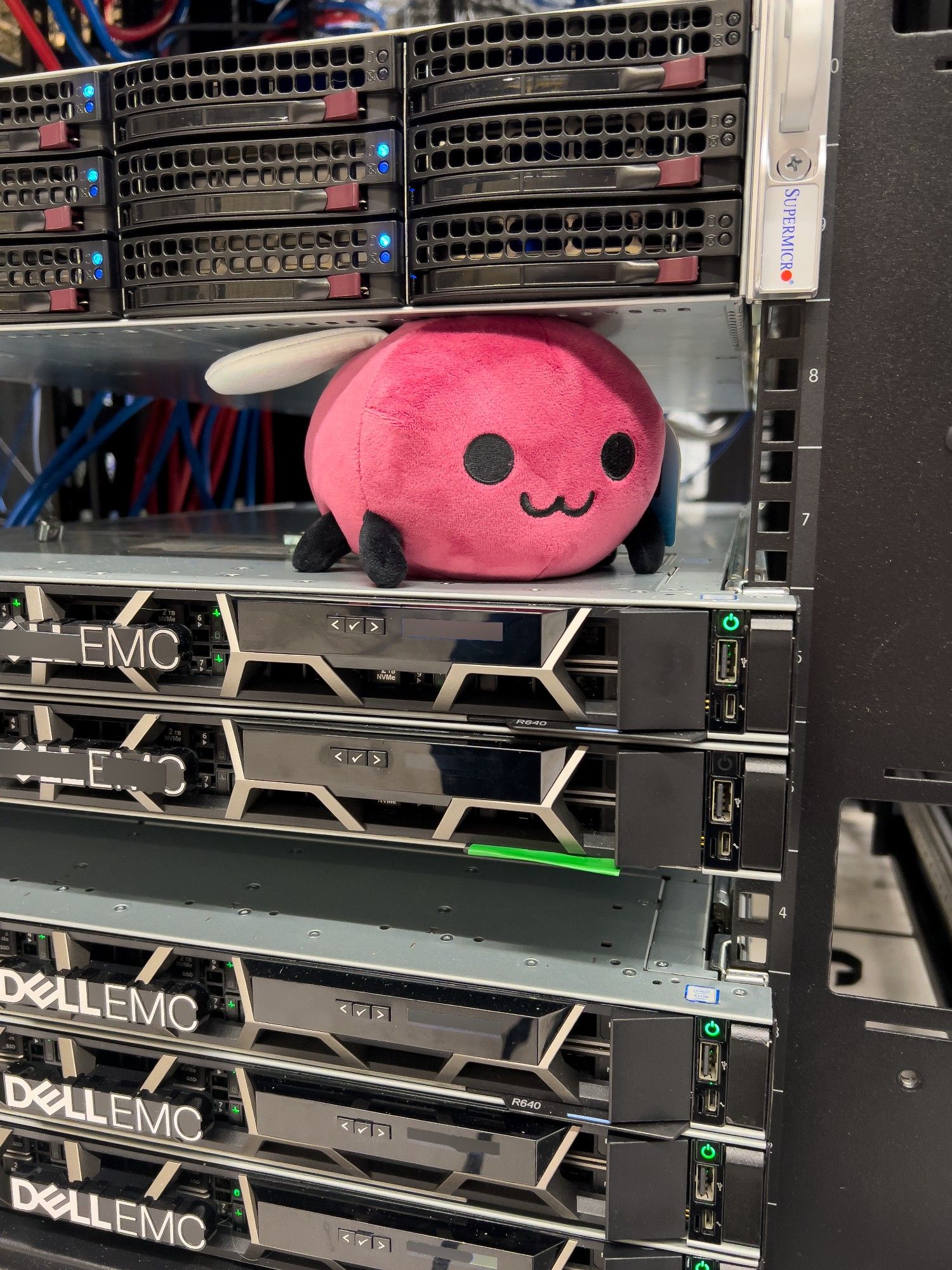 a round maroon eggbug plushie with a :3 face in a 2U space between a pair of Dell EMC servers and a super micro server in a data center