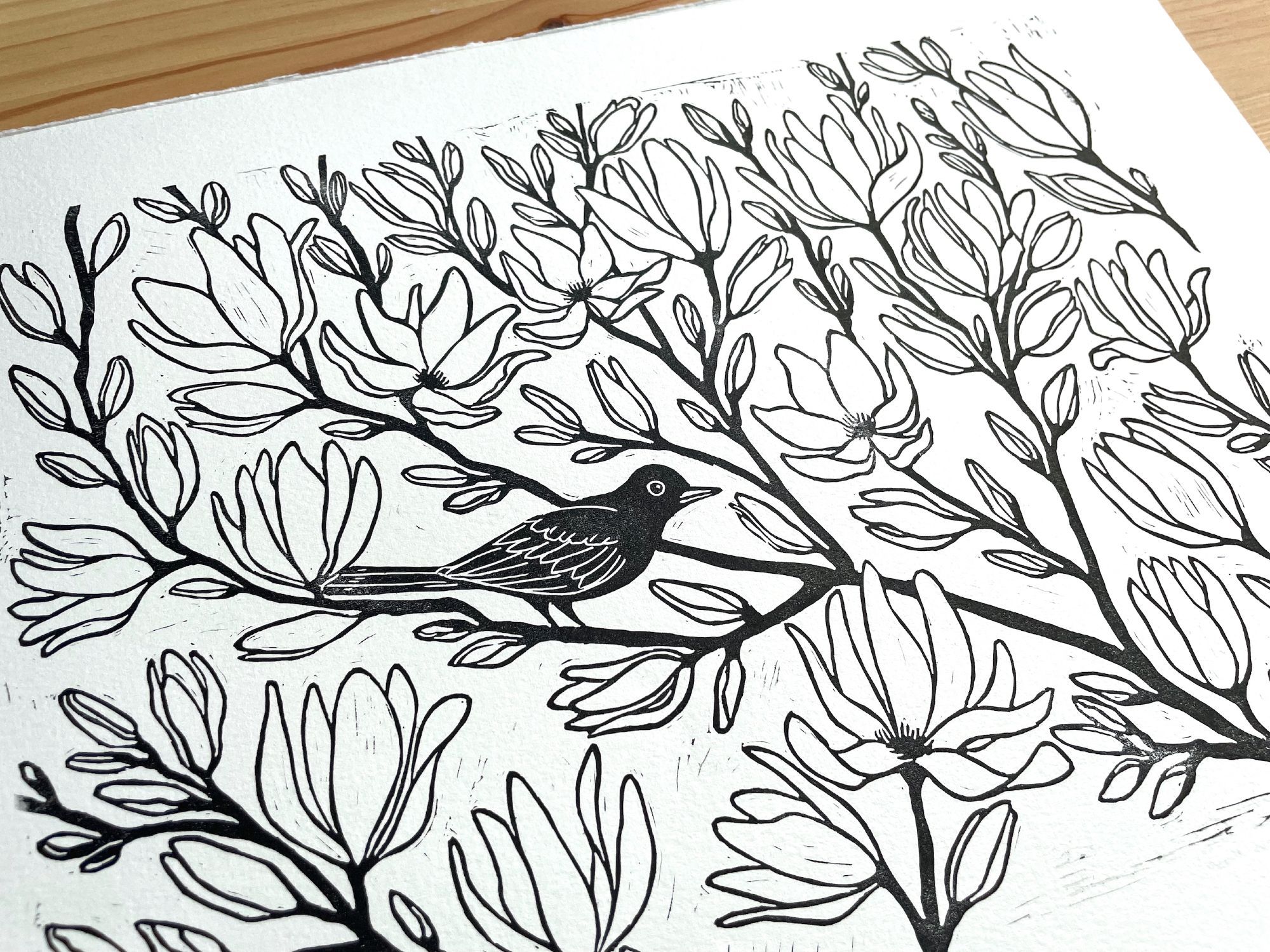 A linoprint of a black bird on magnolia tree branches, in black ink. The bird is sitting in the middle of bloomed flowers.