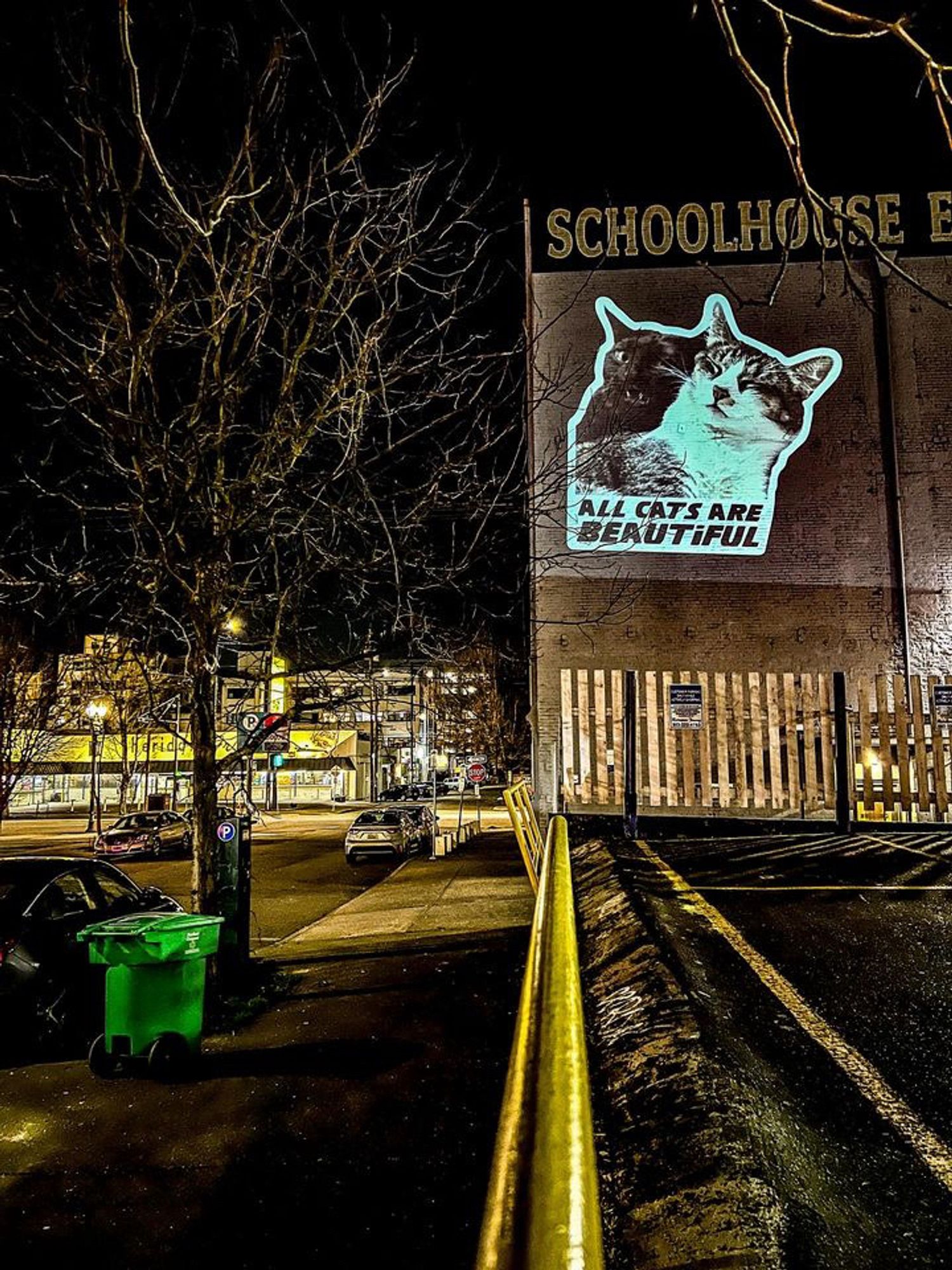 Projected on the side of a large brick building is an image of two cats close together. The dark brown cats has a mischievous look on her face with the grey and white tabby is napping, blissfully unaware