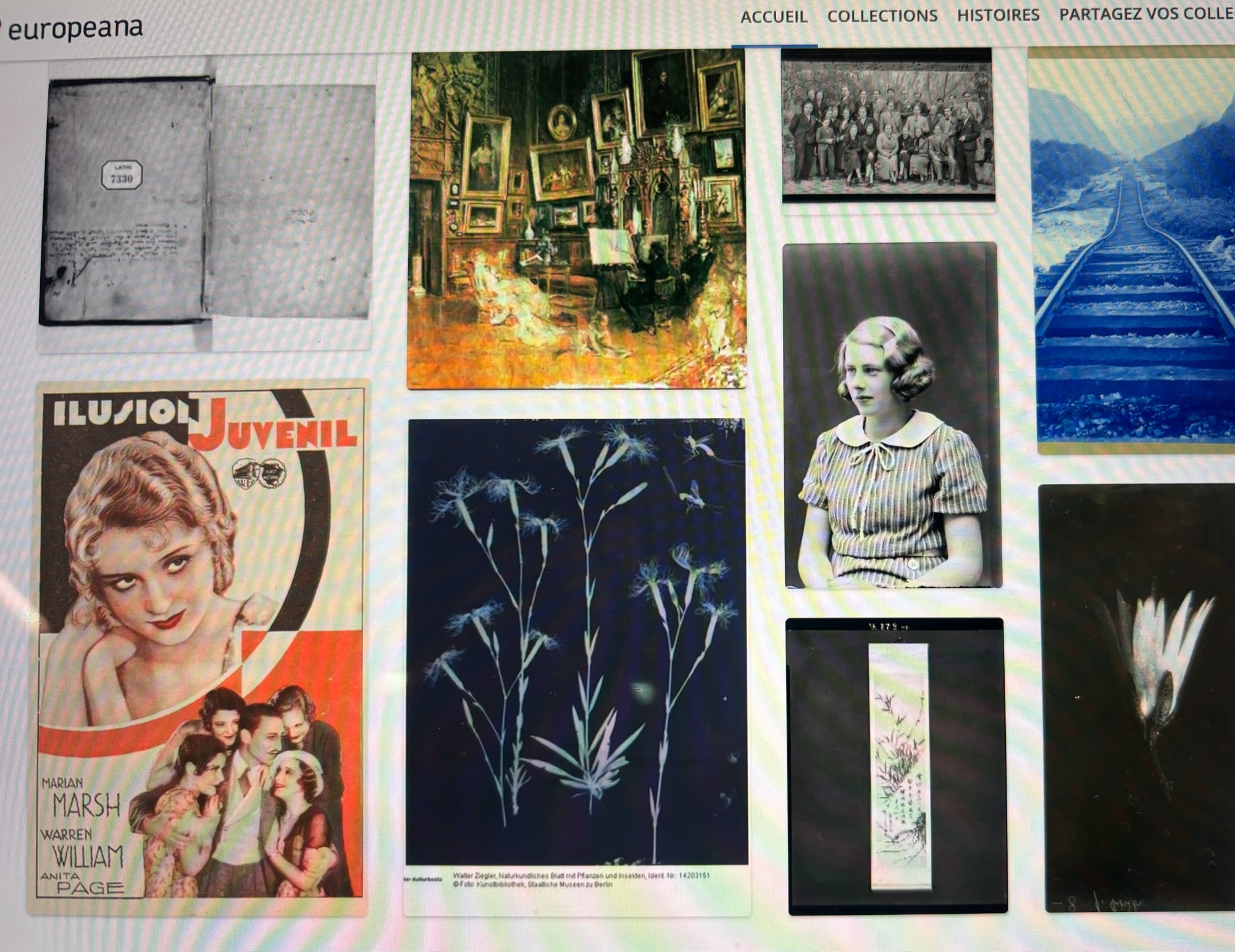 Example of a search on europeana yielding many items, such as film posters, scientific photos and paintings, all copyright free or CC 