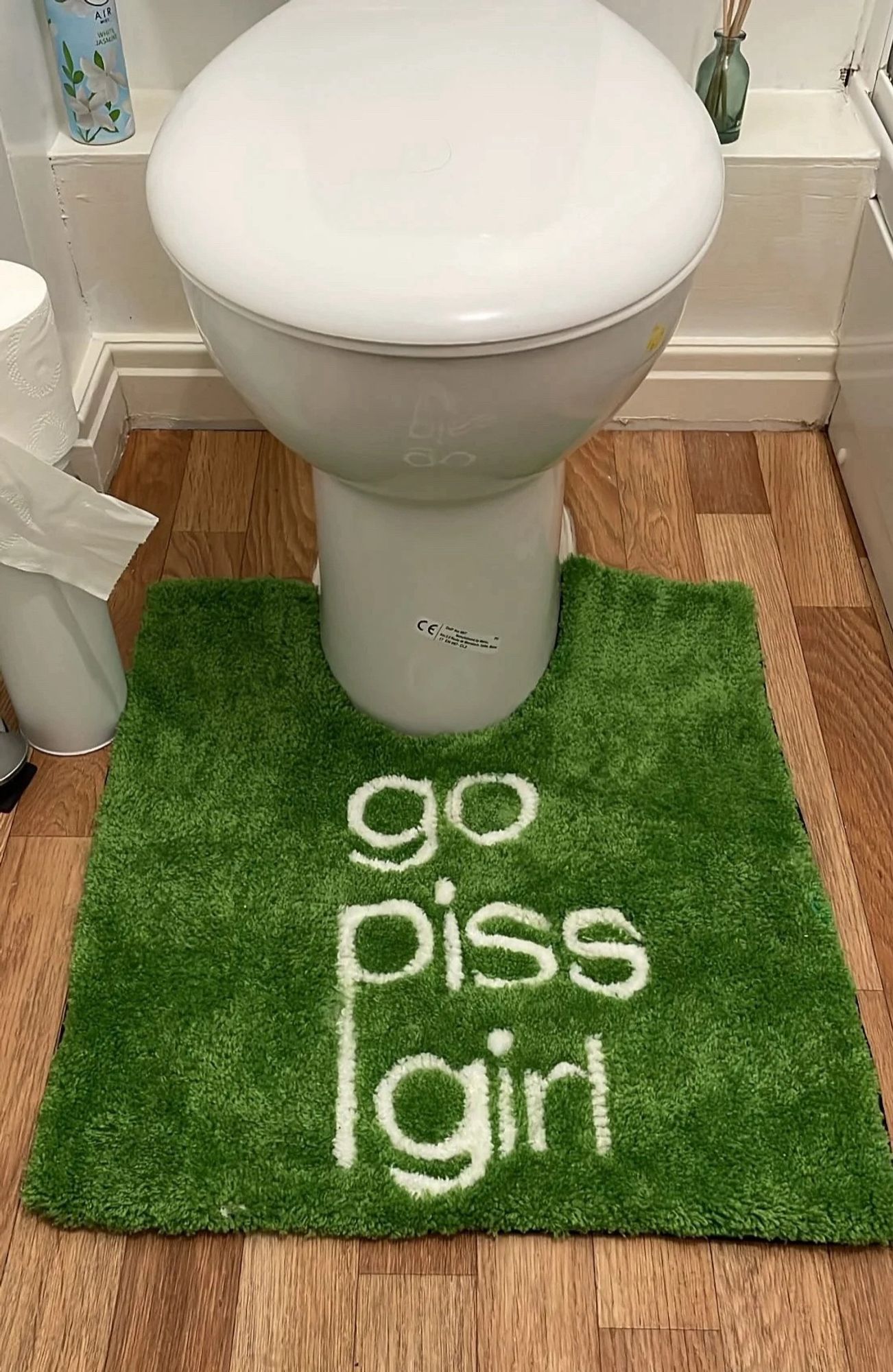 A green bathroom rug that goes by the toilet that says “go piss girl” in the gossip girl font