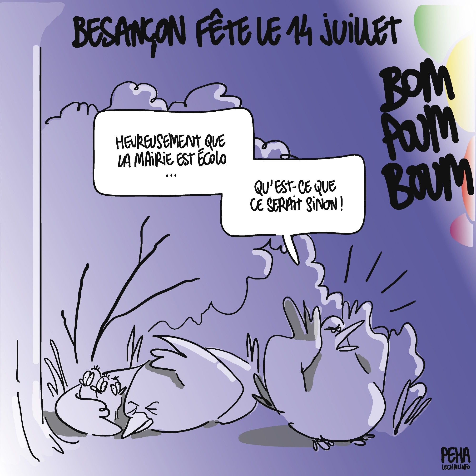 C'est la nuit, dessin de deux oiseaux baignés de lumière, provenant des feux d'artifice dans le coin du dessin, qui font un énorme vacarme. L'un d'eux protège ses oisillons, une aile sur la tête, pendant que l'autre, se bouchant les oreilles, dit : heureusement que la mairie est écolo, qu'est-ce que ce serait sinon