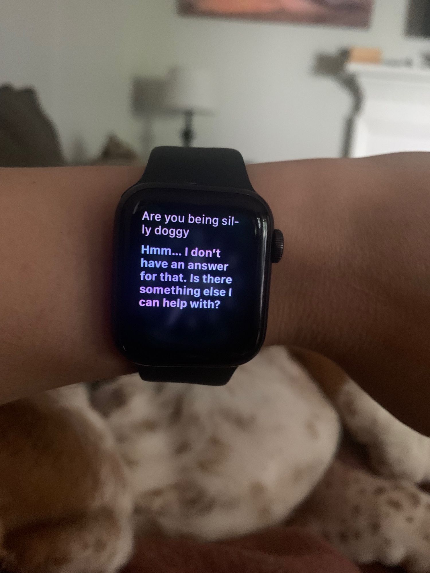 Apple Watch showing Siri trying to answer the question, “Are you being a silly doggy?”
