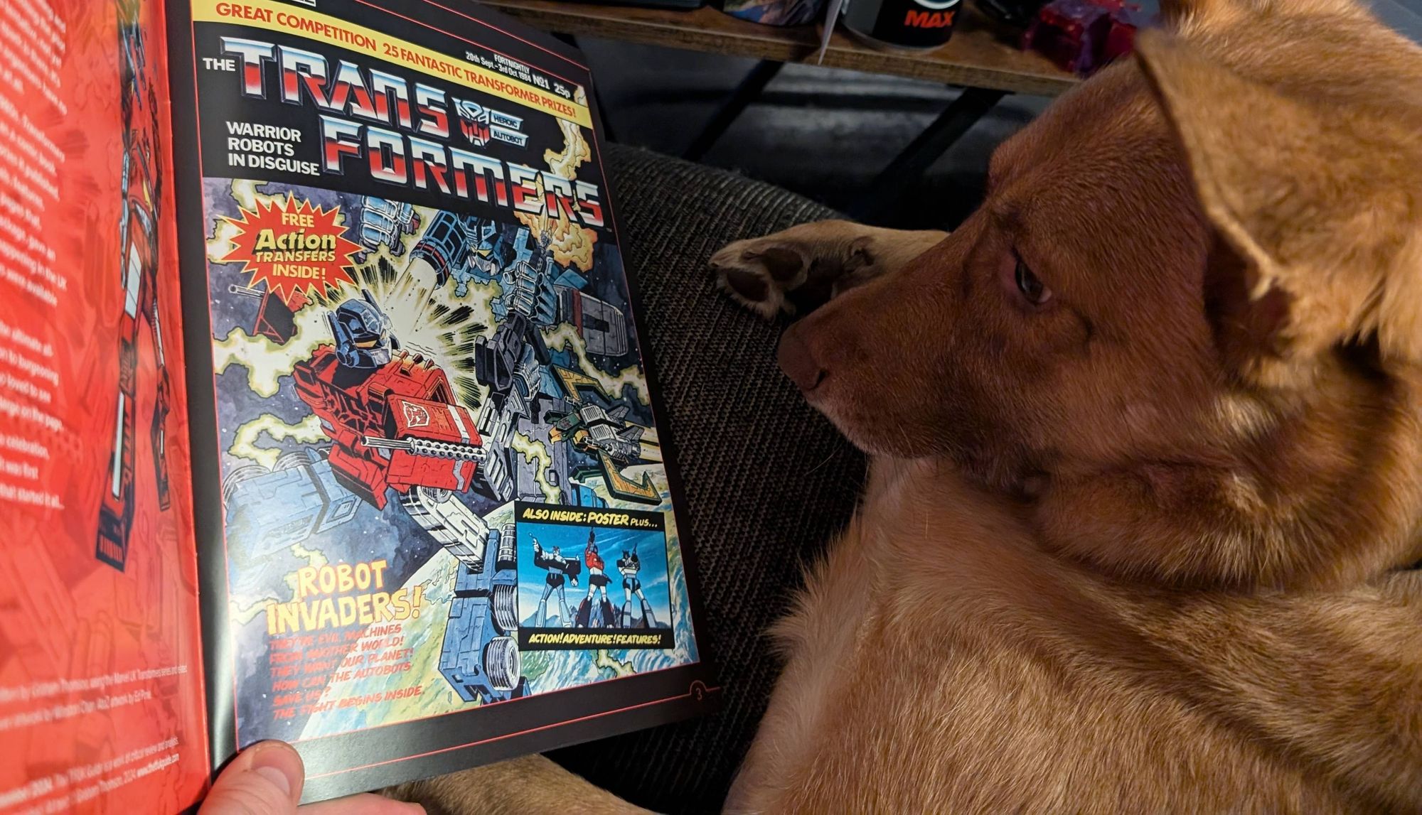 A spoiled dog reading The TFUK Guide