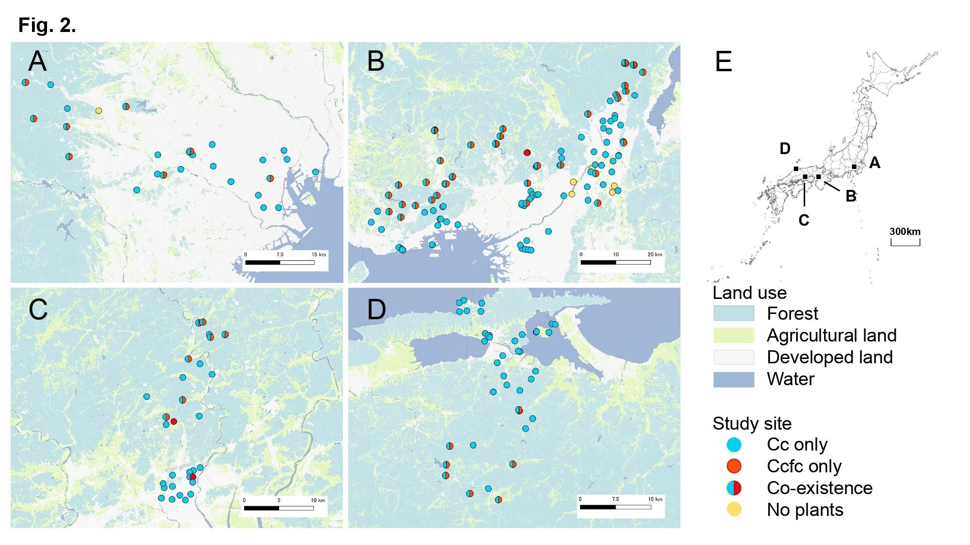 Figure with five panels showing geographic distribution of Commemina communis (Cc) and C. c. f. ciliata (Ccfc) in Japan. (Panel A) Study sites in Tokyo. (Panel B) Study sites in Hyogo, Osaka, and Kyoto. (Panel C) Study sites in Okayama. (Panel D) Study sites in Shimane. (Panel E).