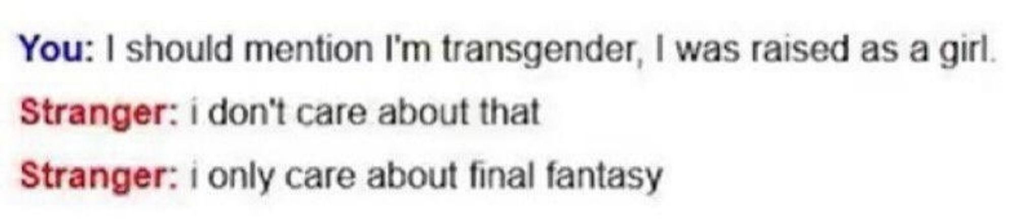 A chatlog that reads:
"You: I should mention I'm transgender, I was raised as a girl.
Stranger: i don't care about that
Stranger: i only care about final fantasy"