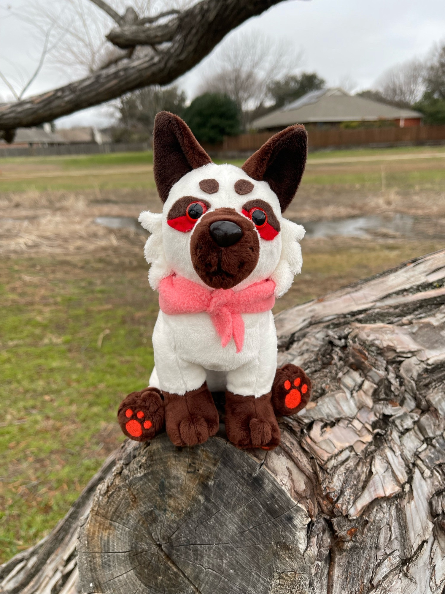 same plush, front facing the camera, still in the sitting pose