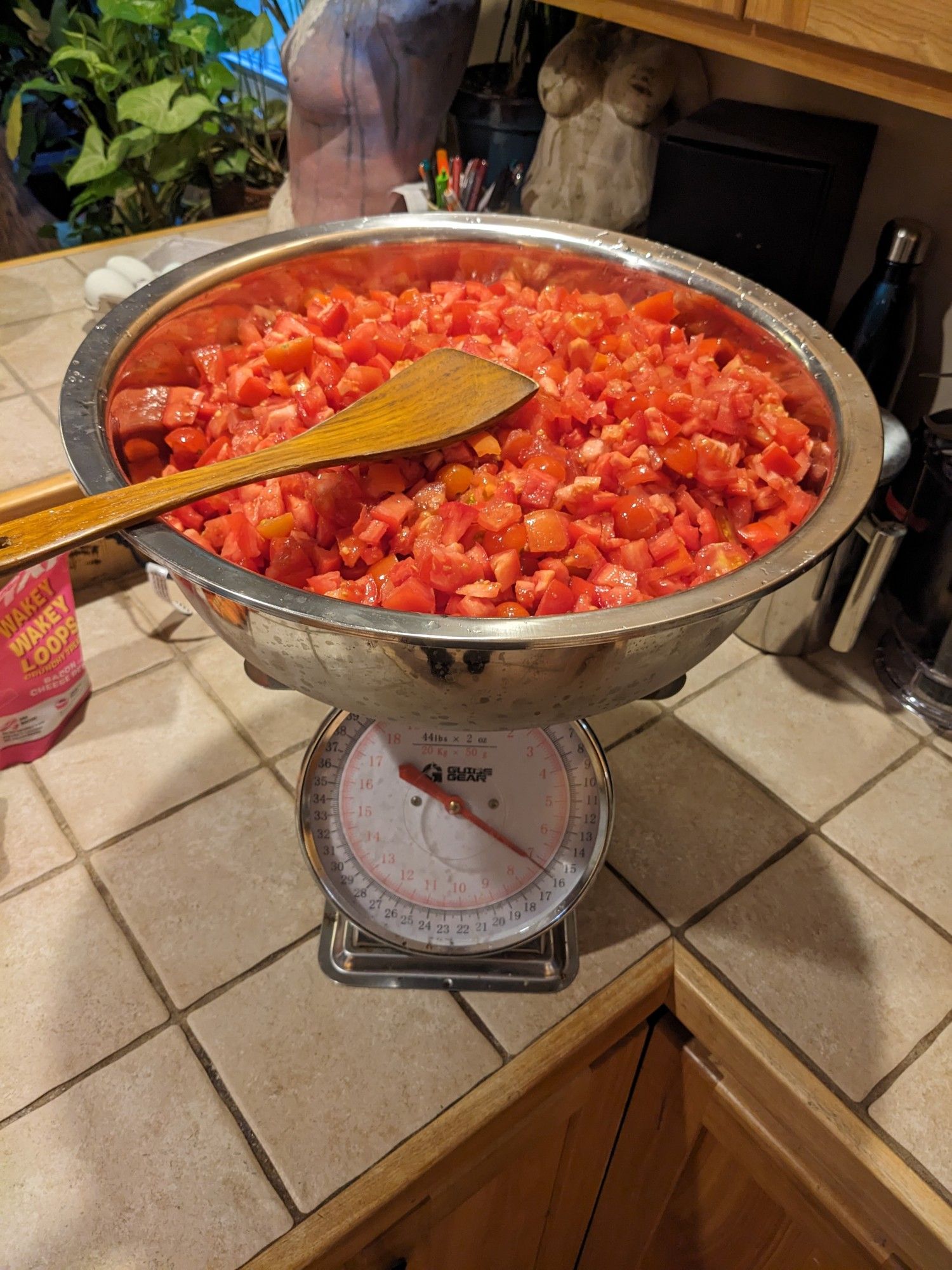 A very large metal bowl precariously sitting on a kitchen scale. The bowl is quiet full of diced tomatoes and one rice paddle