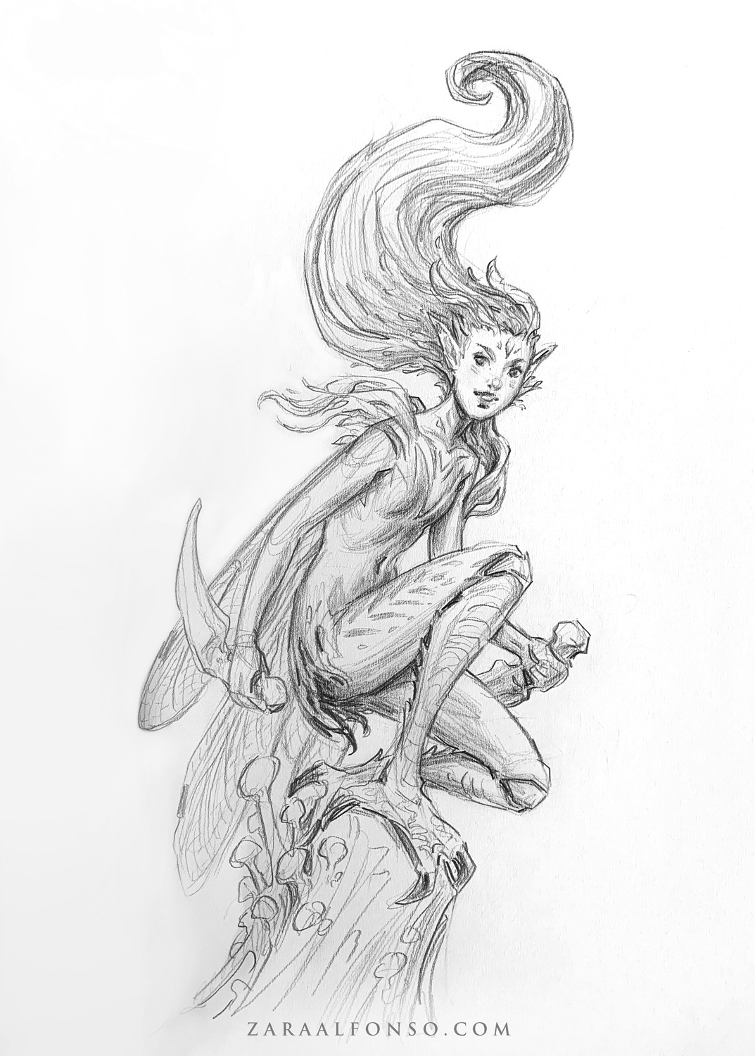 A traditional graphite pencil drawing by the artist Zara Alfonso. A portrait of a fairy with  bird feet and long flowing hair, held in each hand are daggers made from animal teeth.
