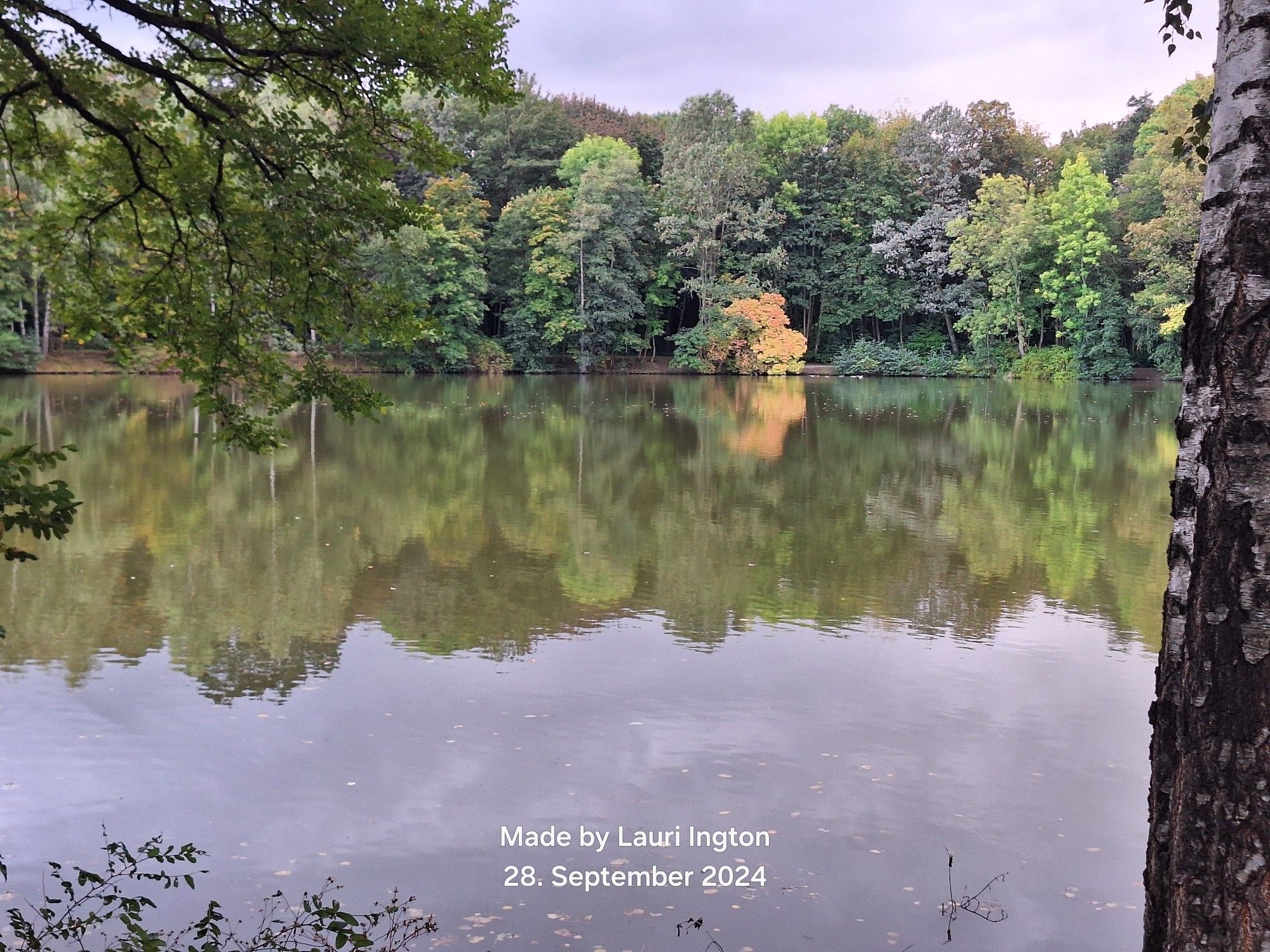 Blick auf Wasser, im Hintergrund sieht man Bäume die anfangen sich herbstlich zu färben