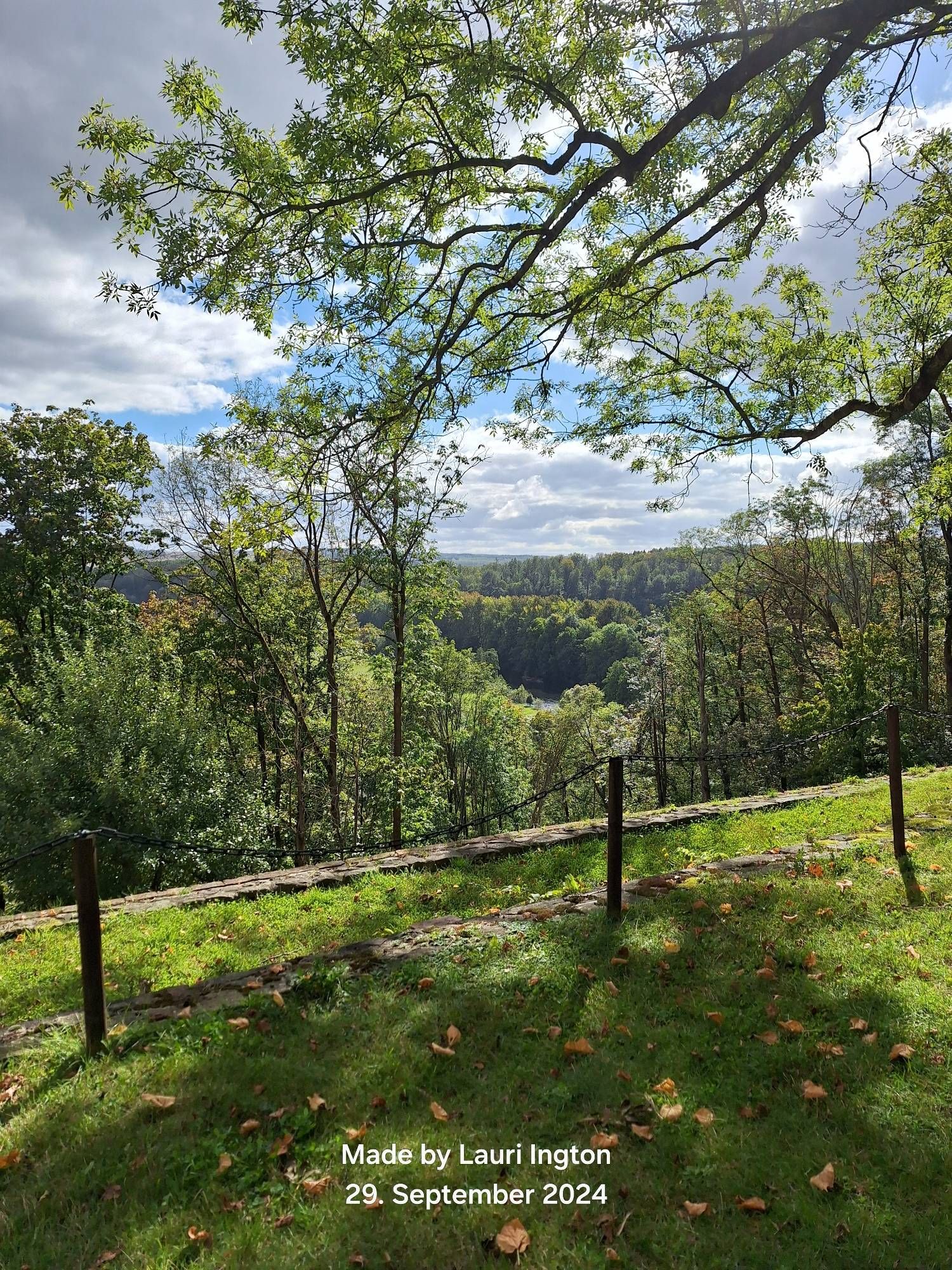 Blick ins Grüne